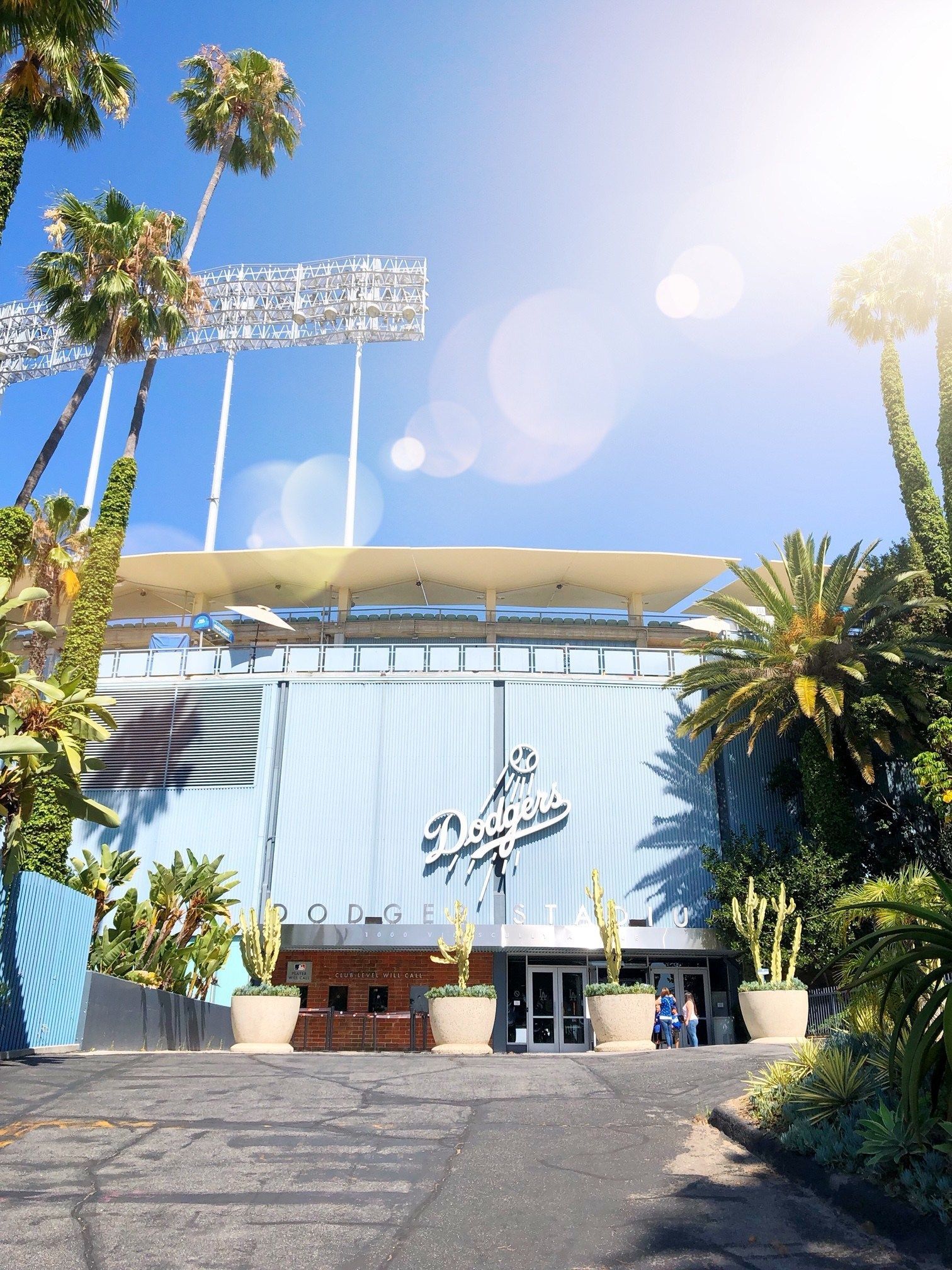 Dodger Stadium Palm Trees Wallpapers