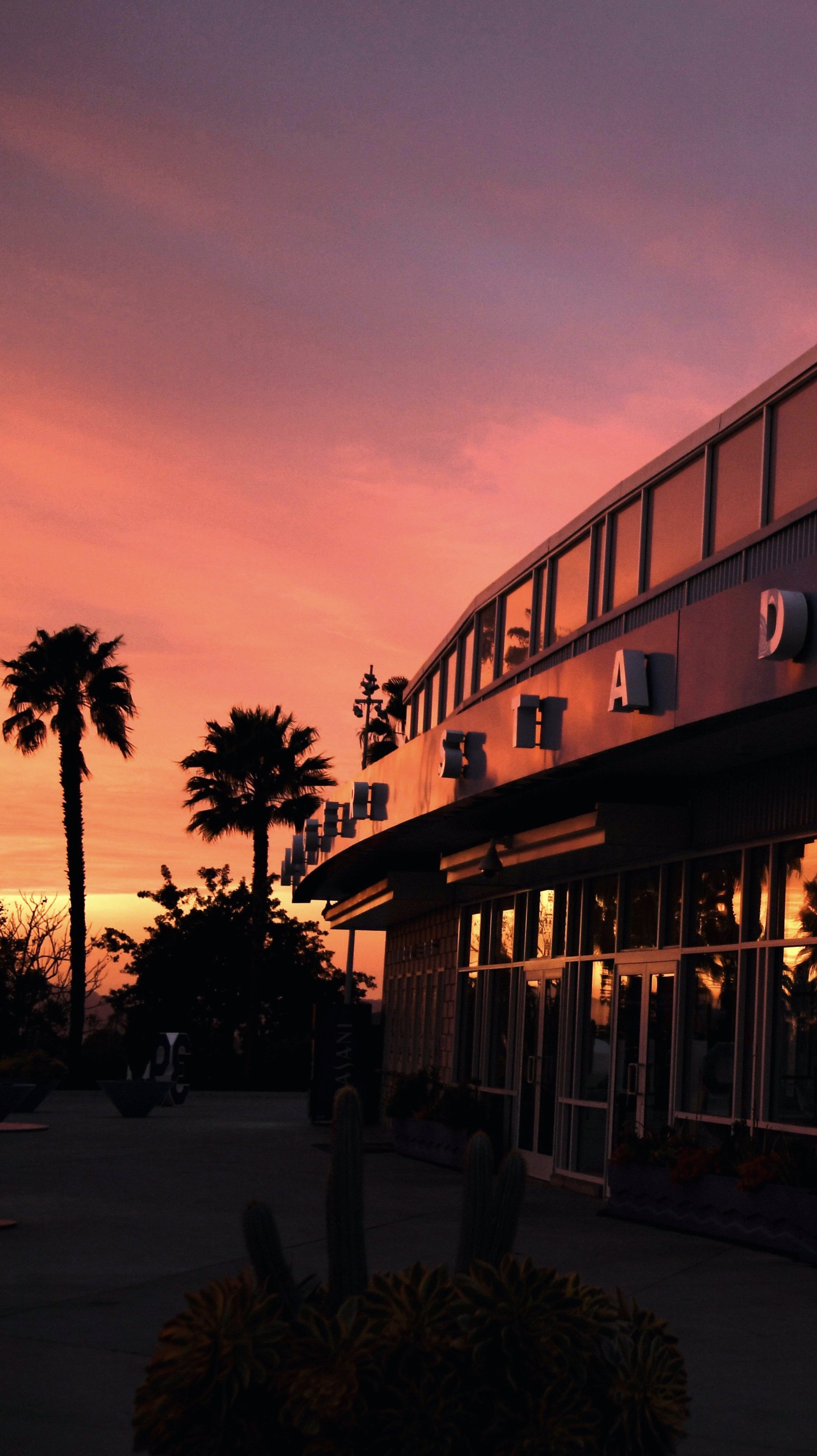 Dodger Stadium Palm Trees Wallpapers