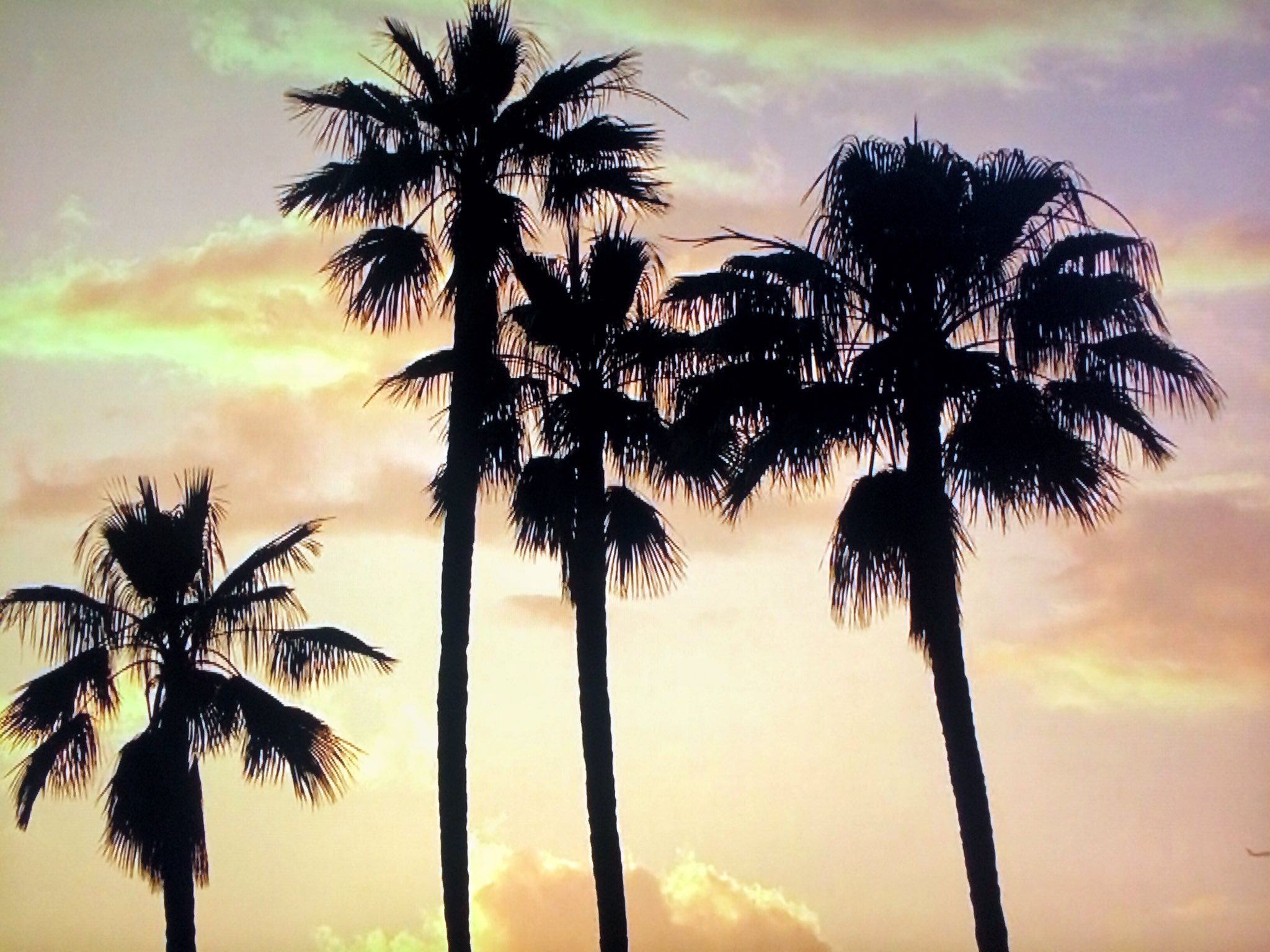 Dodger Stadium Palm Trees Wallpapers