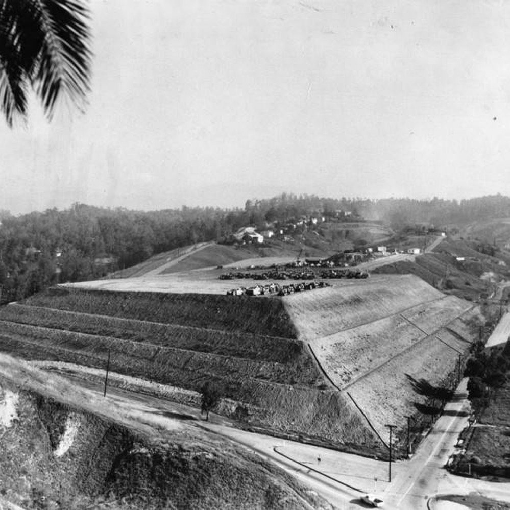 Dodger Stadium Palm Trees Wallpapers