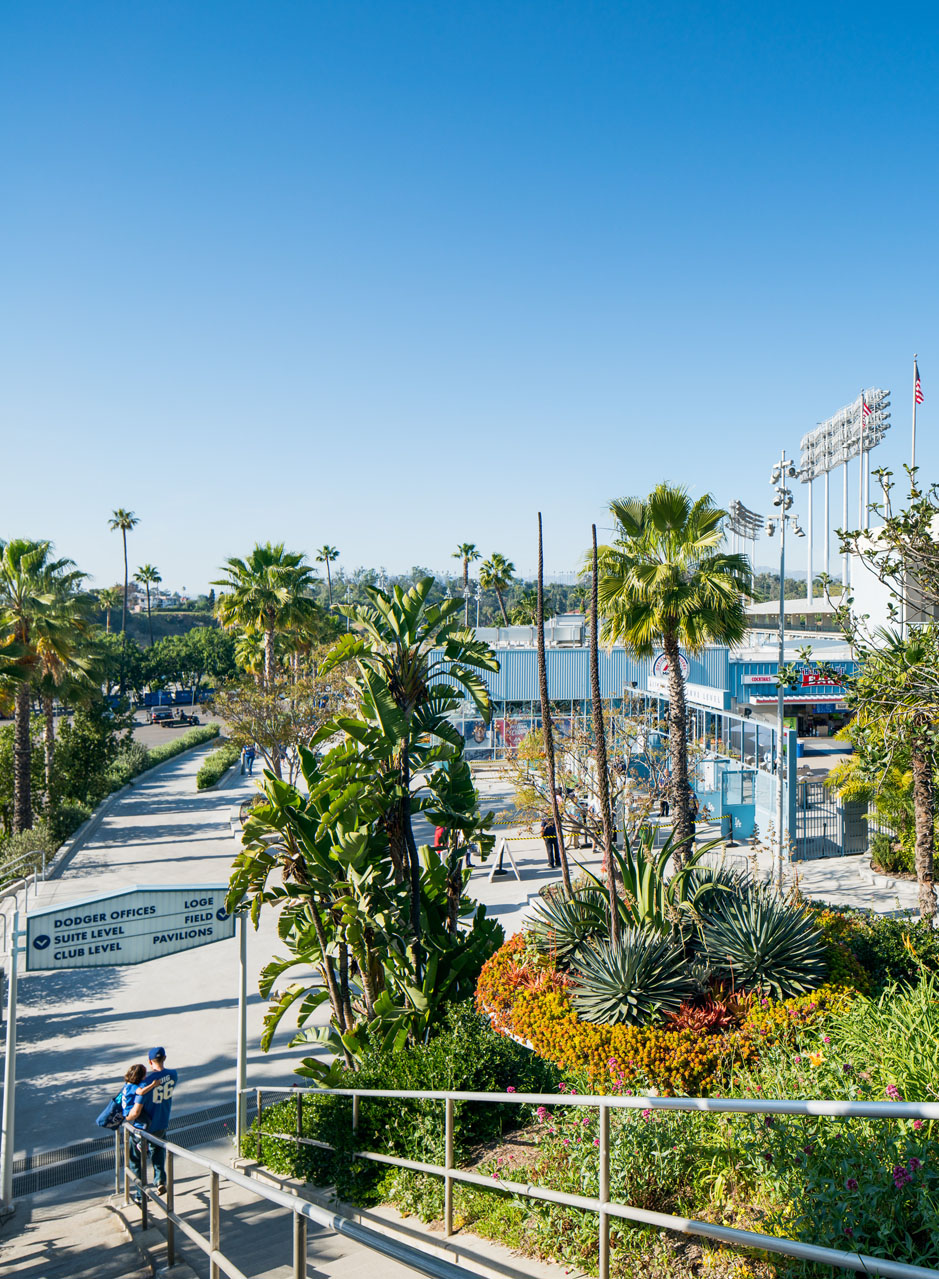 Dodger Stadium Palm Trees Wallpapers