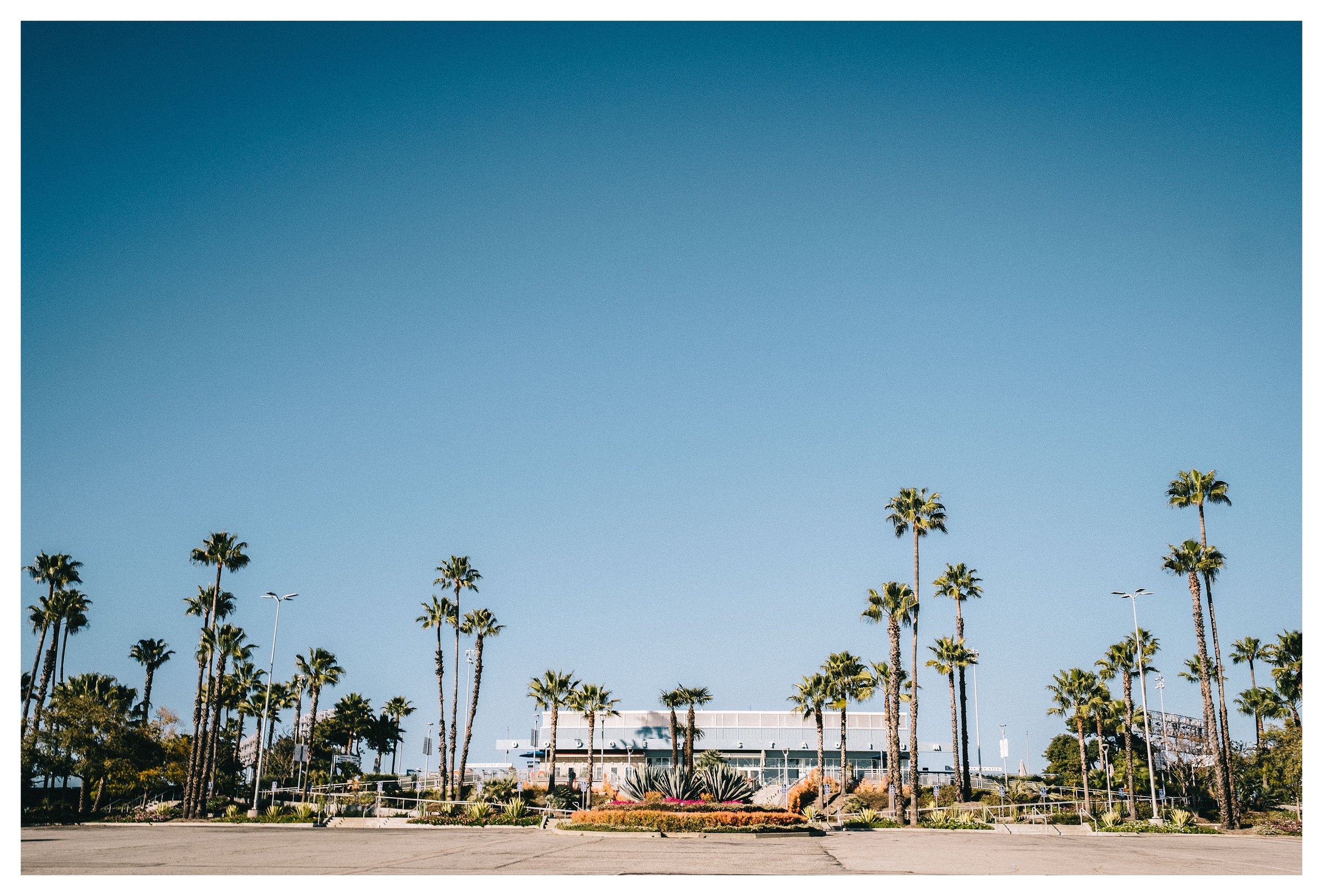 Dodger Stadium Palm Trees Wallpapers