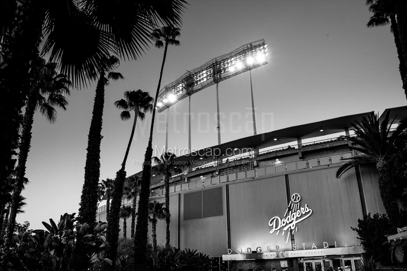 Dodger Stadium Palm Trees Wallpapers