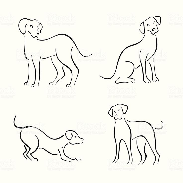 Dog Drawing Wallpapers