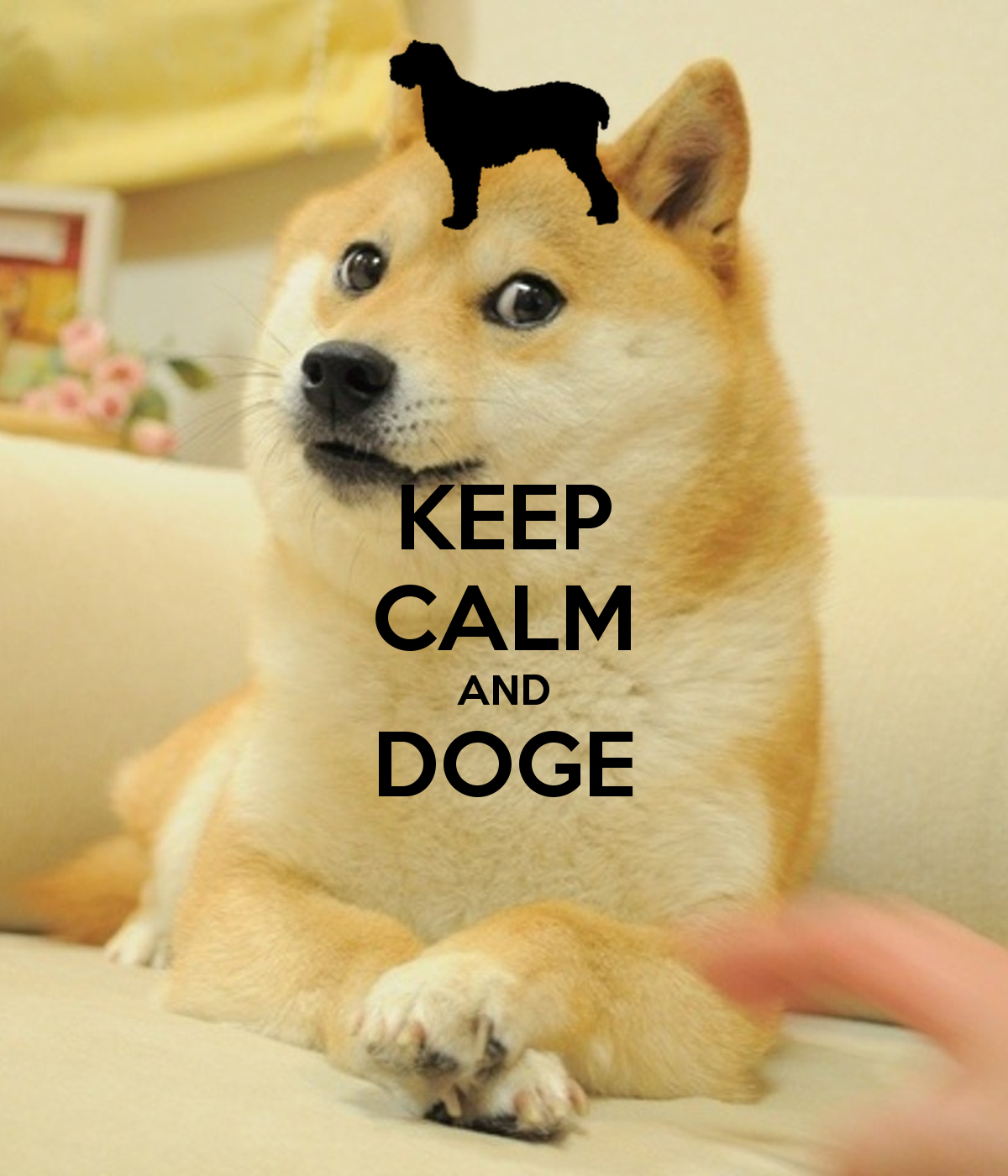 Dog Meme Wallpapers