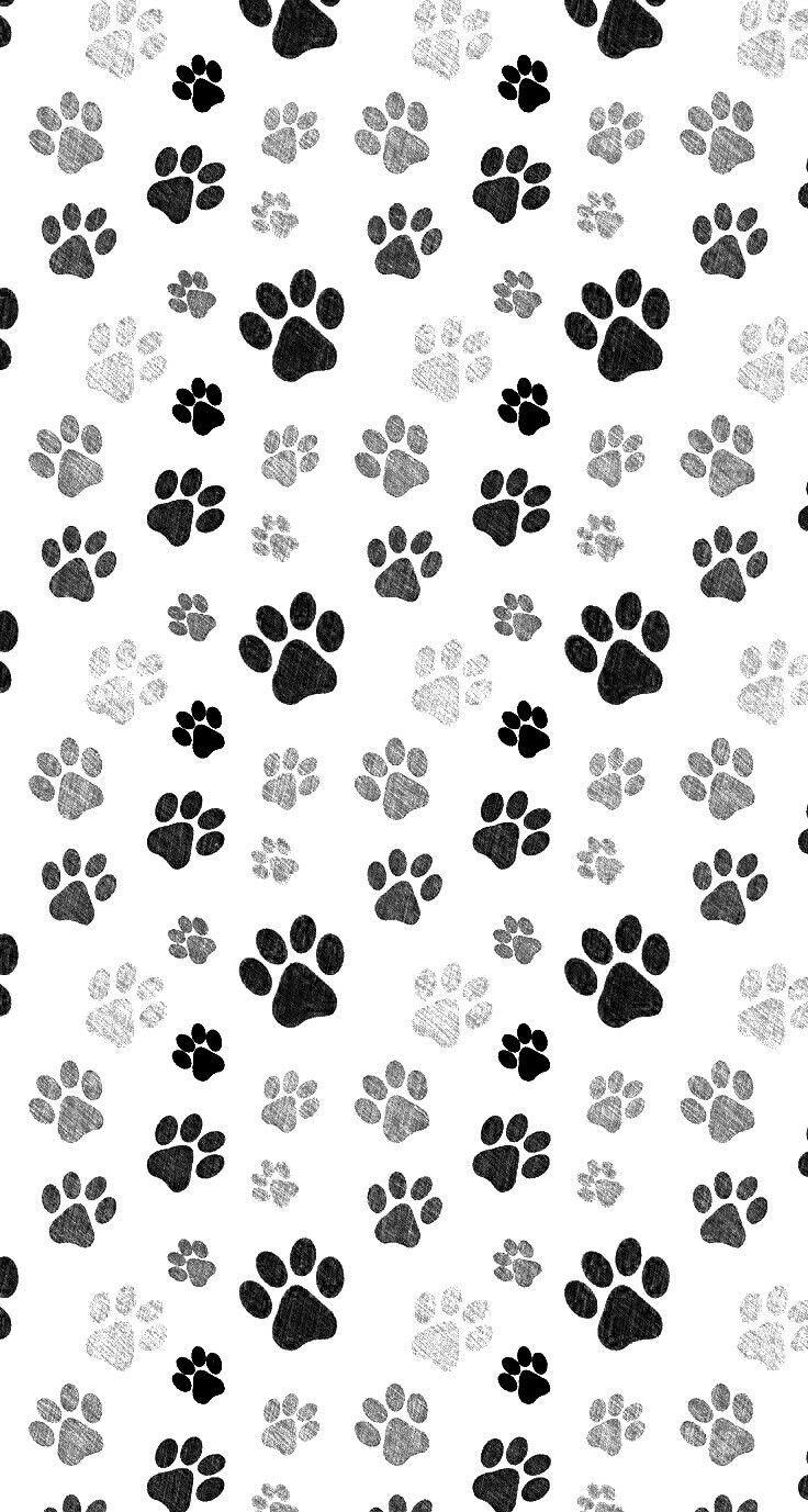 Dog Paw Wallpapers