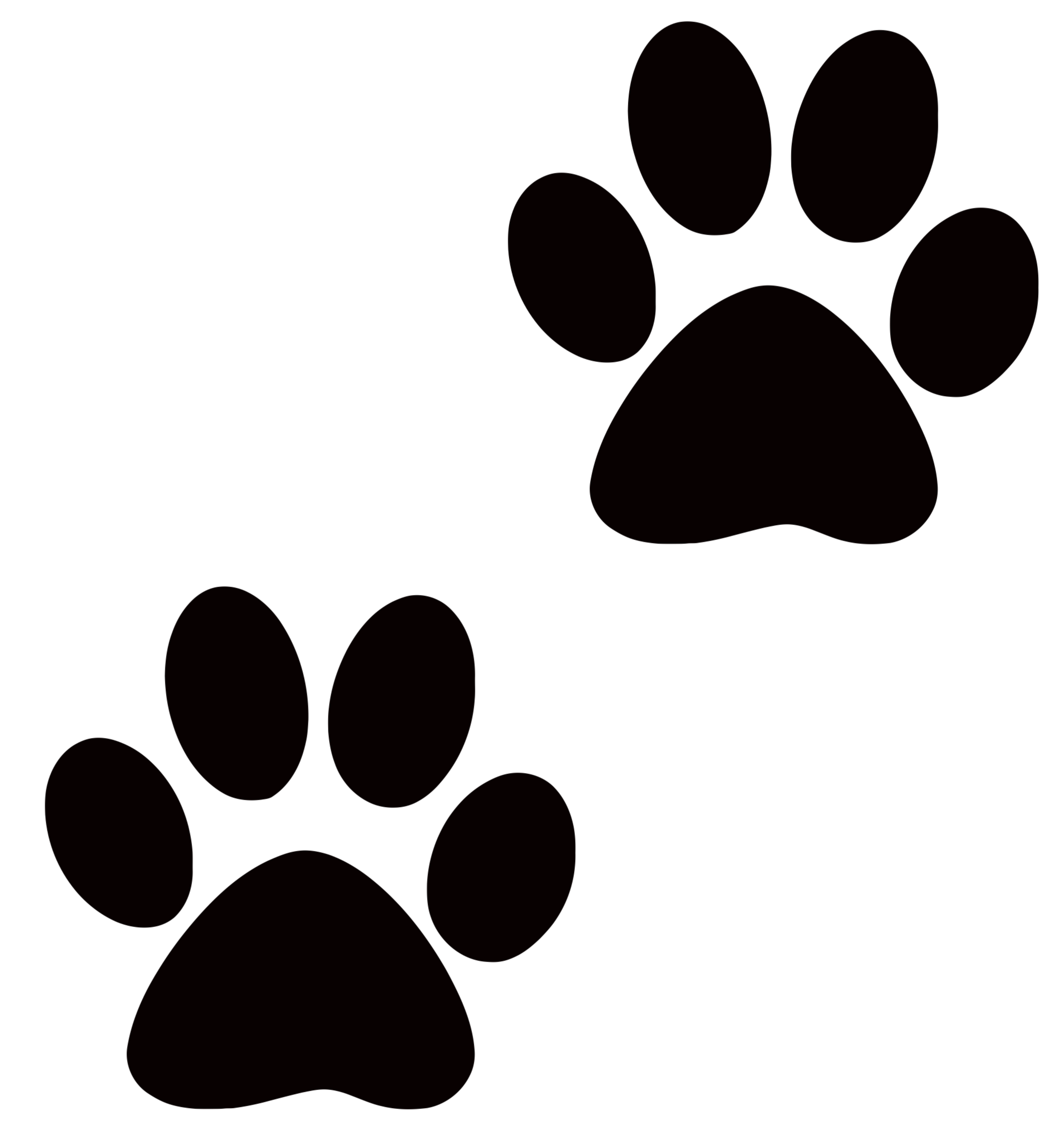 Dog Paw Wallpapers