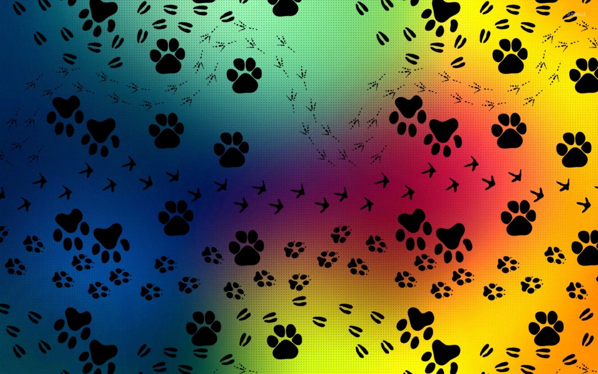 Dog Paw Wallpapers