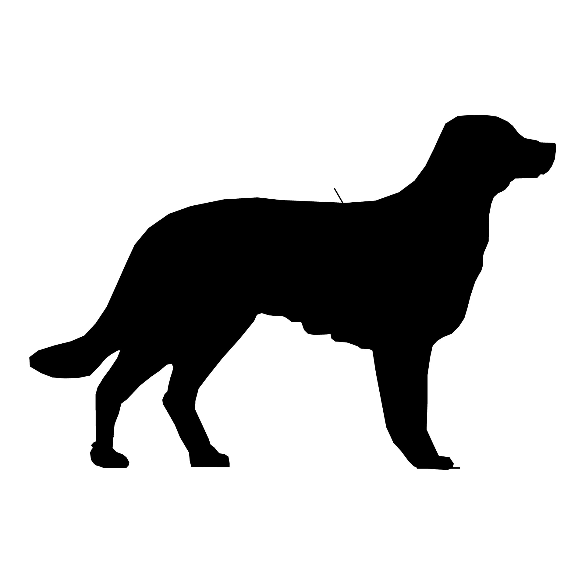 Dog Silhouette Wallpapers