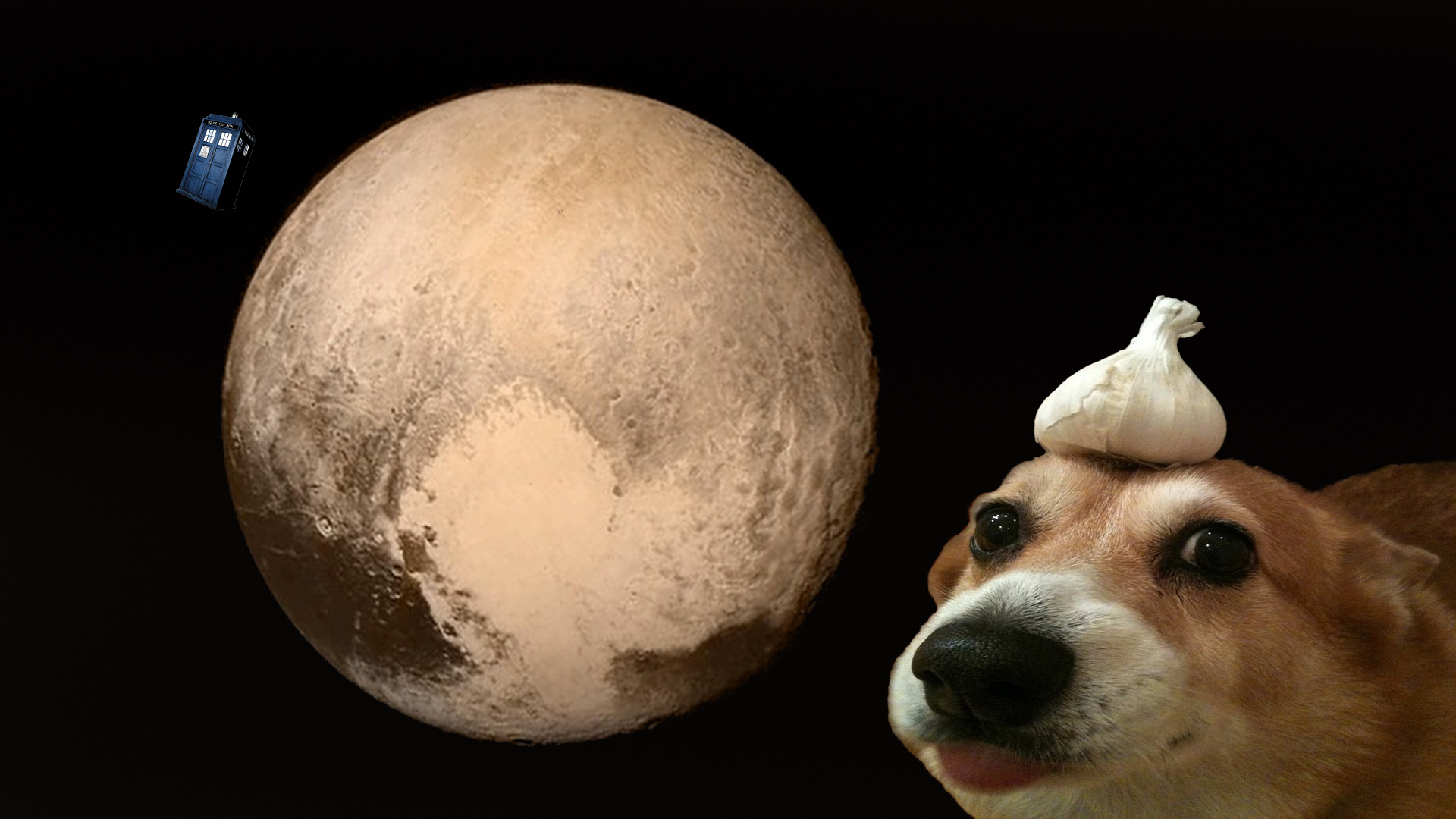 Dog With Garlic On Head In Space Wallpapers