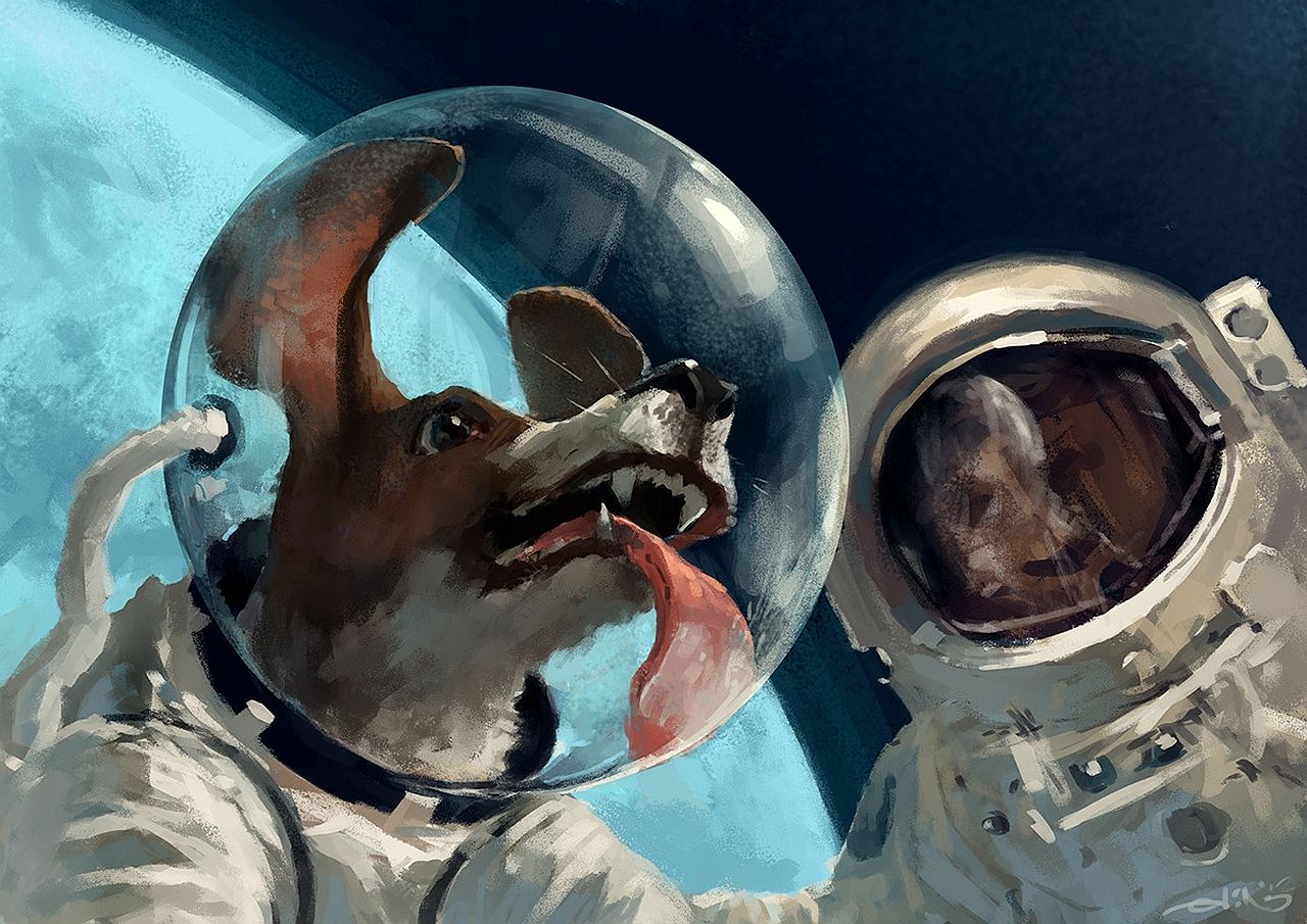 Dog With Garlic On Head In Space Wallpapers