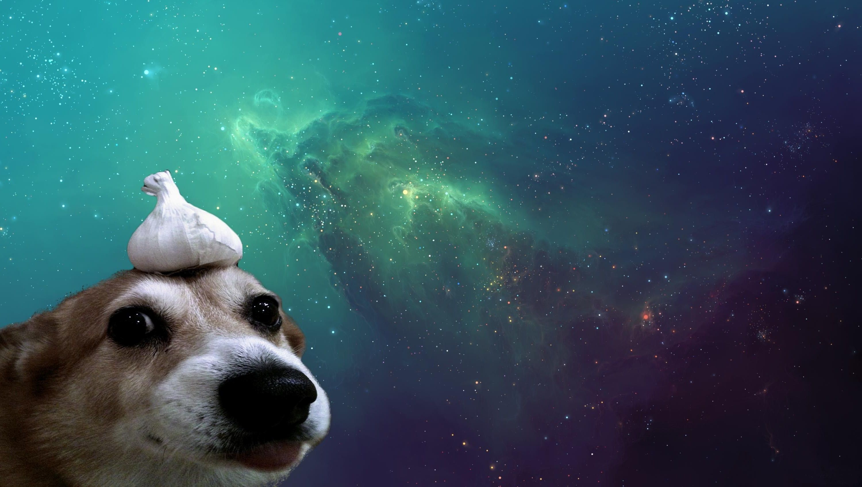 Doge Live Wallpapers