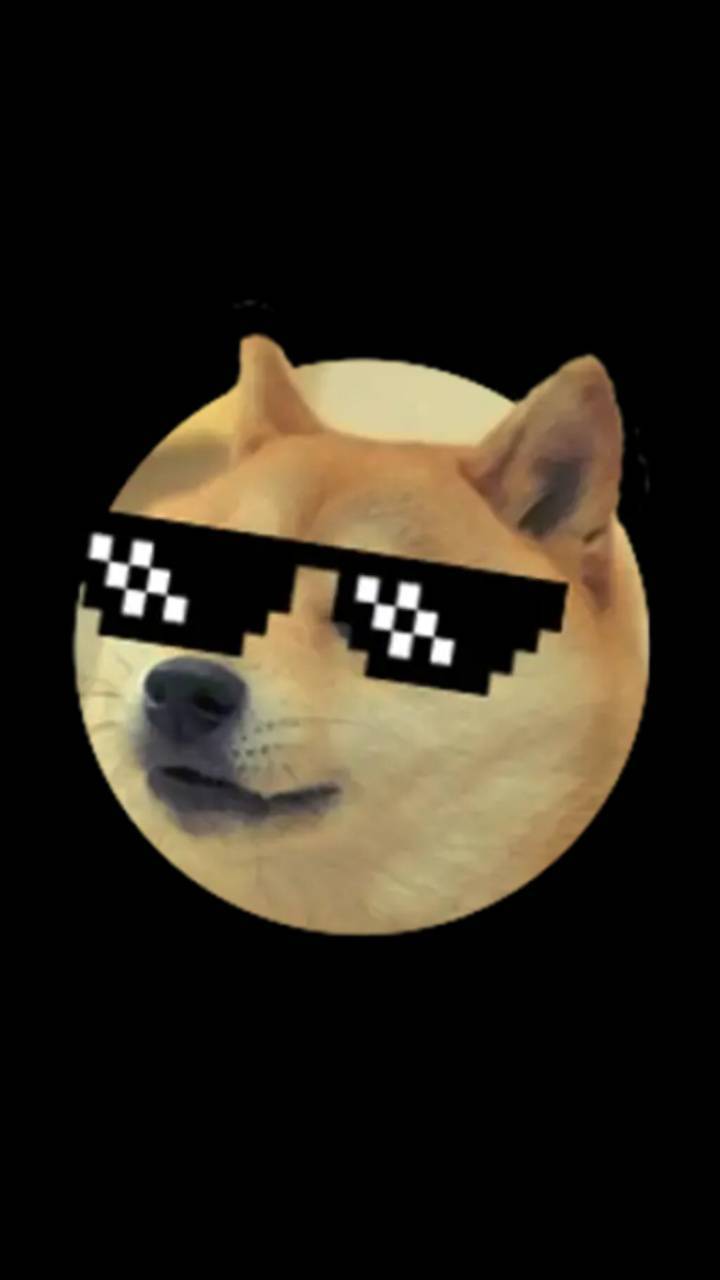 Doge Live Wallpapers