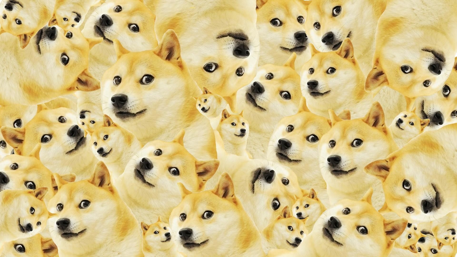 Doge Live Wallpapers