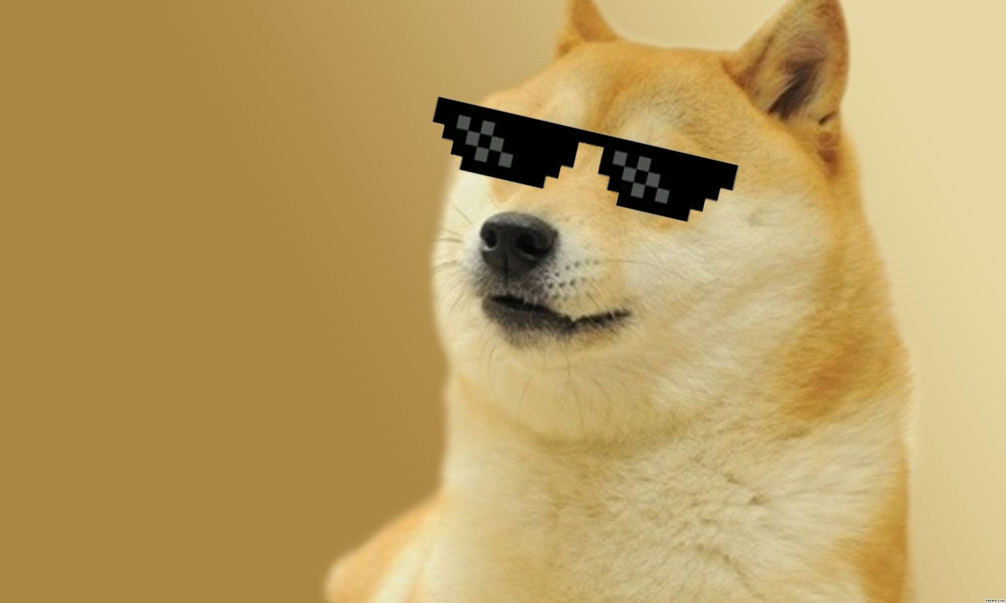 Doge Meme Wallpapers