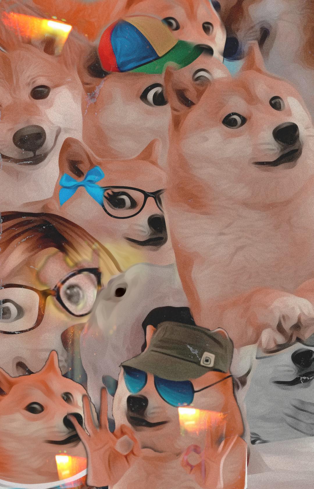 Doge Meme Wallpapers