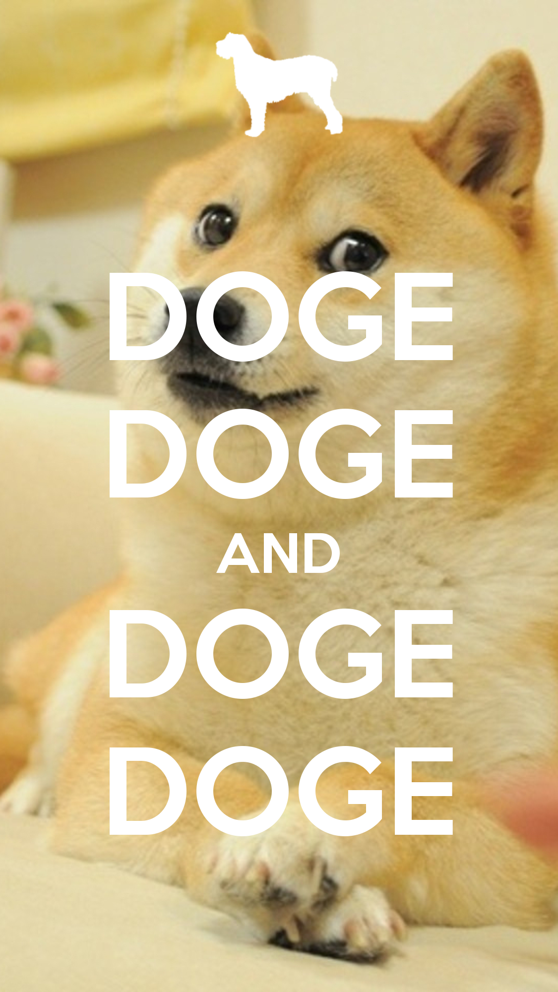 Doge Meme Wallpapers