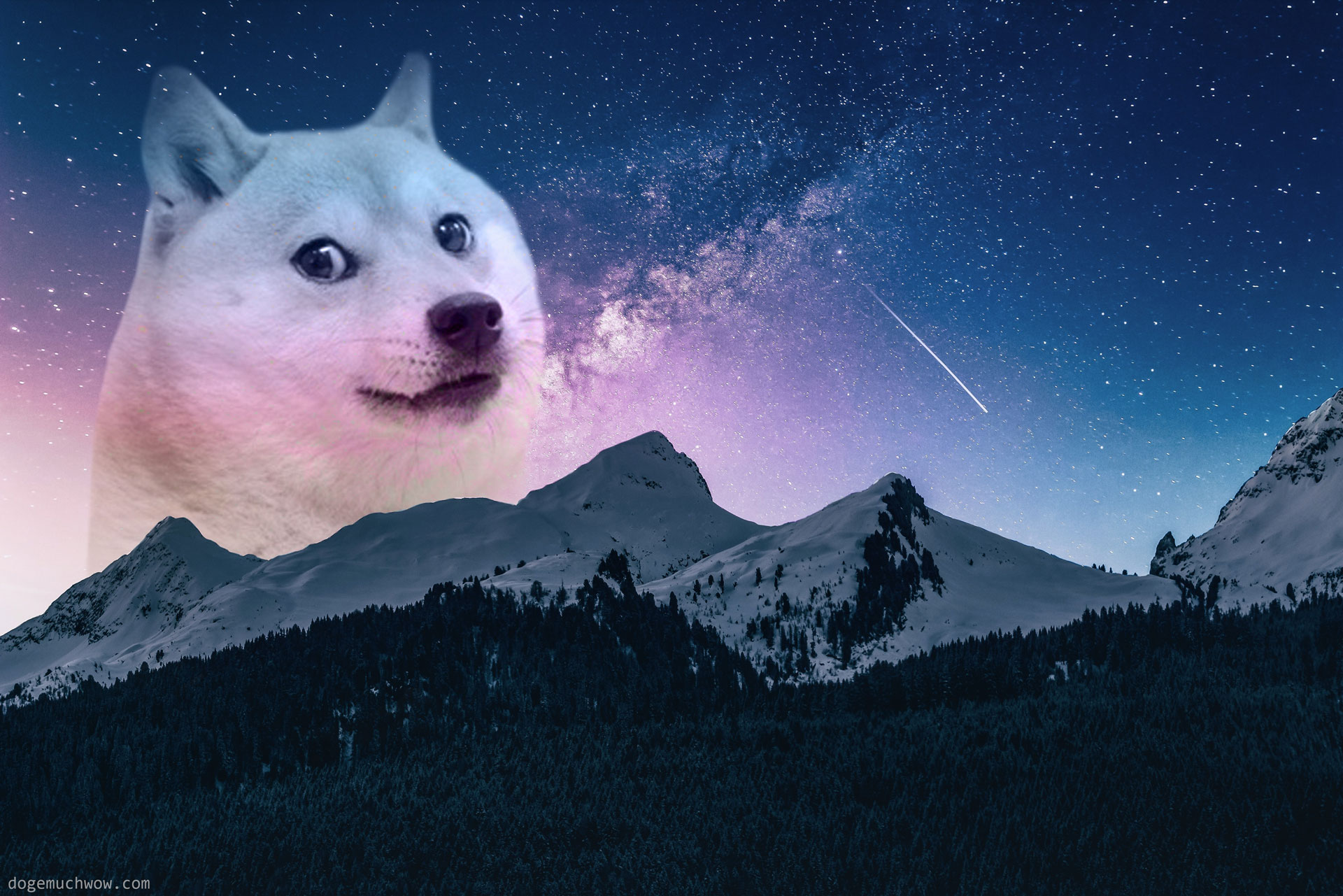 Doge Wallpapers