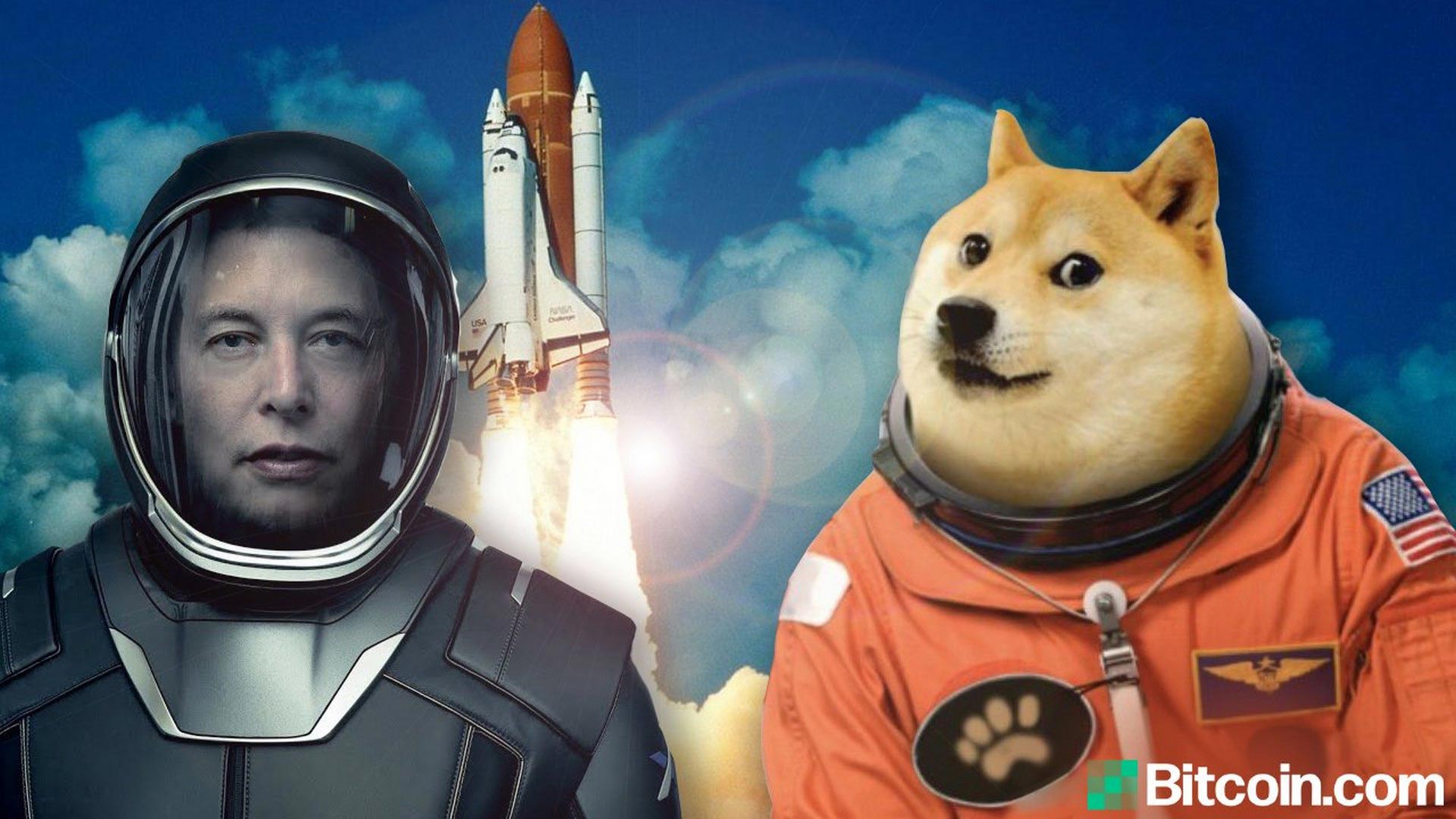 Doge Wallpapers