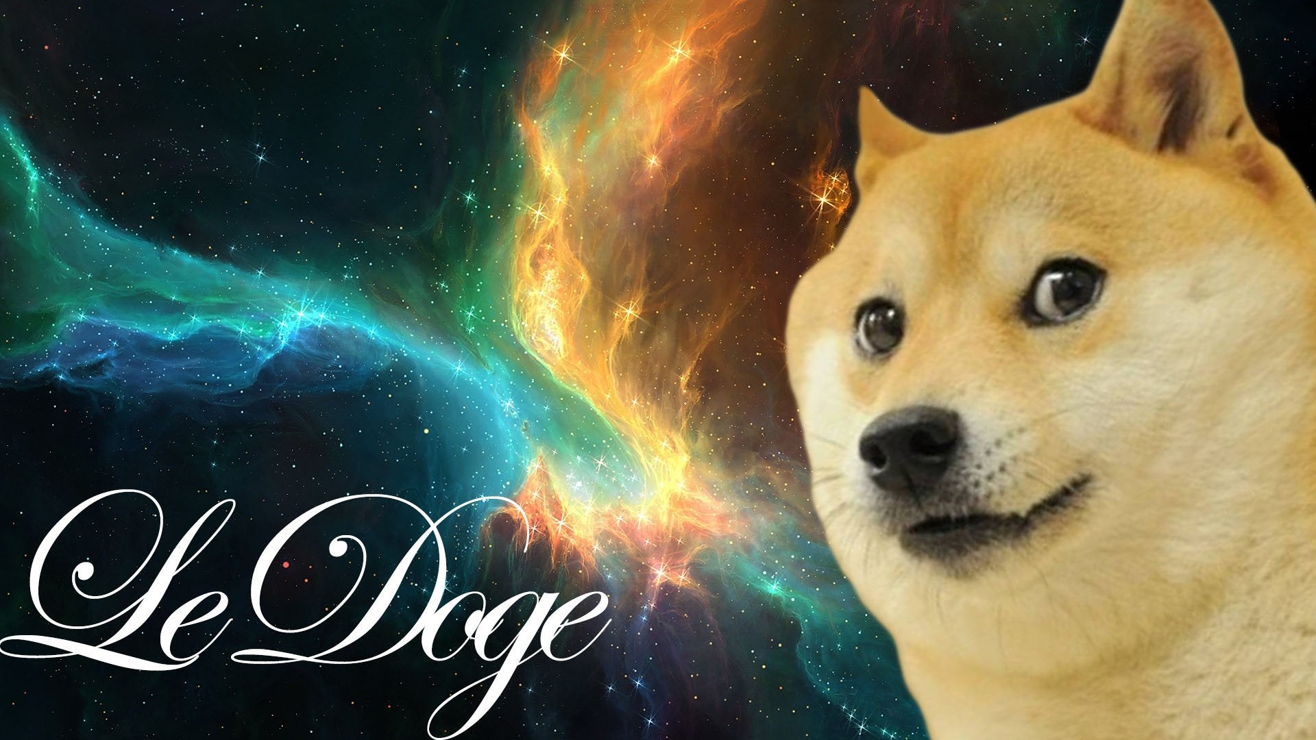 Doge Wallpapers