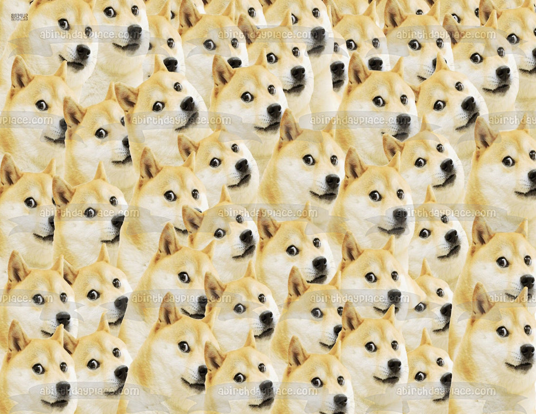 Doge Wallpapers