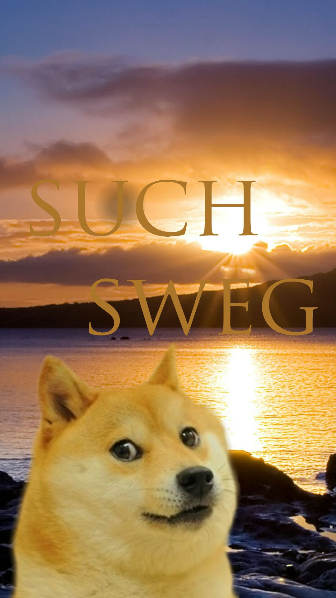 Doge Iphone Wallpapers