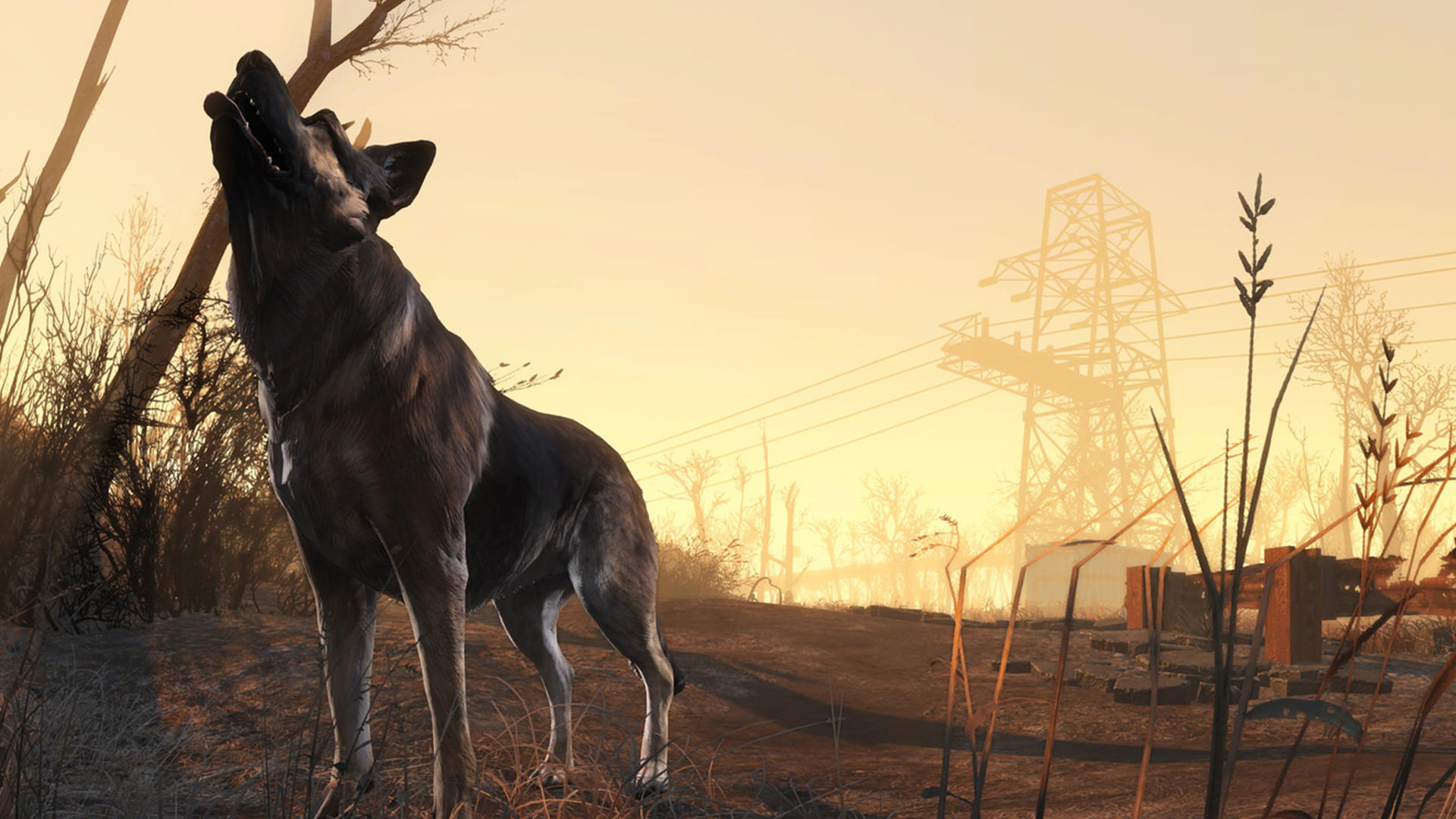 Dogmeat Wallpapers