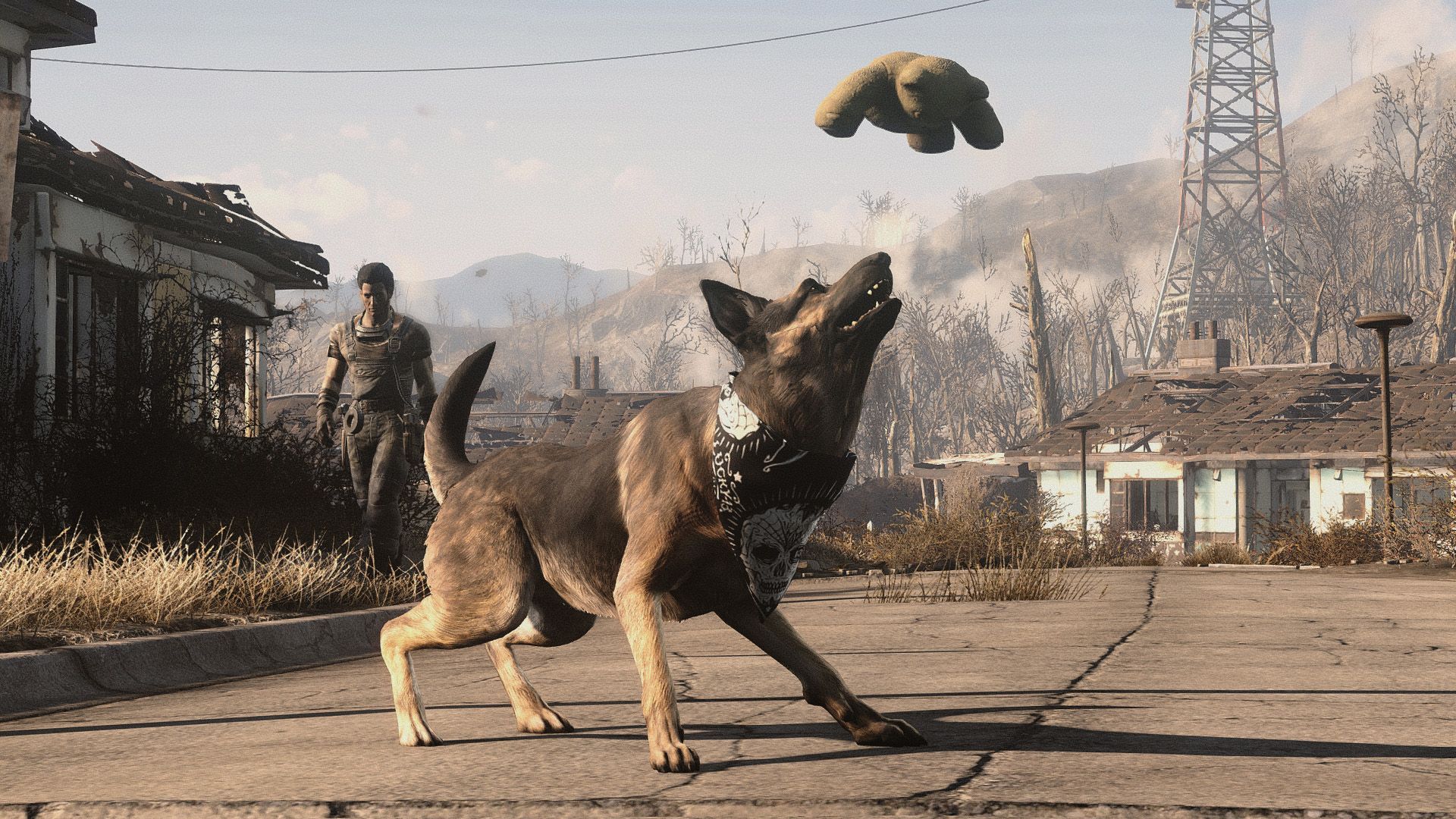 Dogmeat Wallpapers