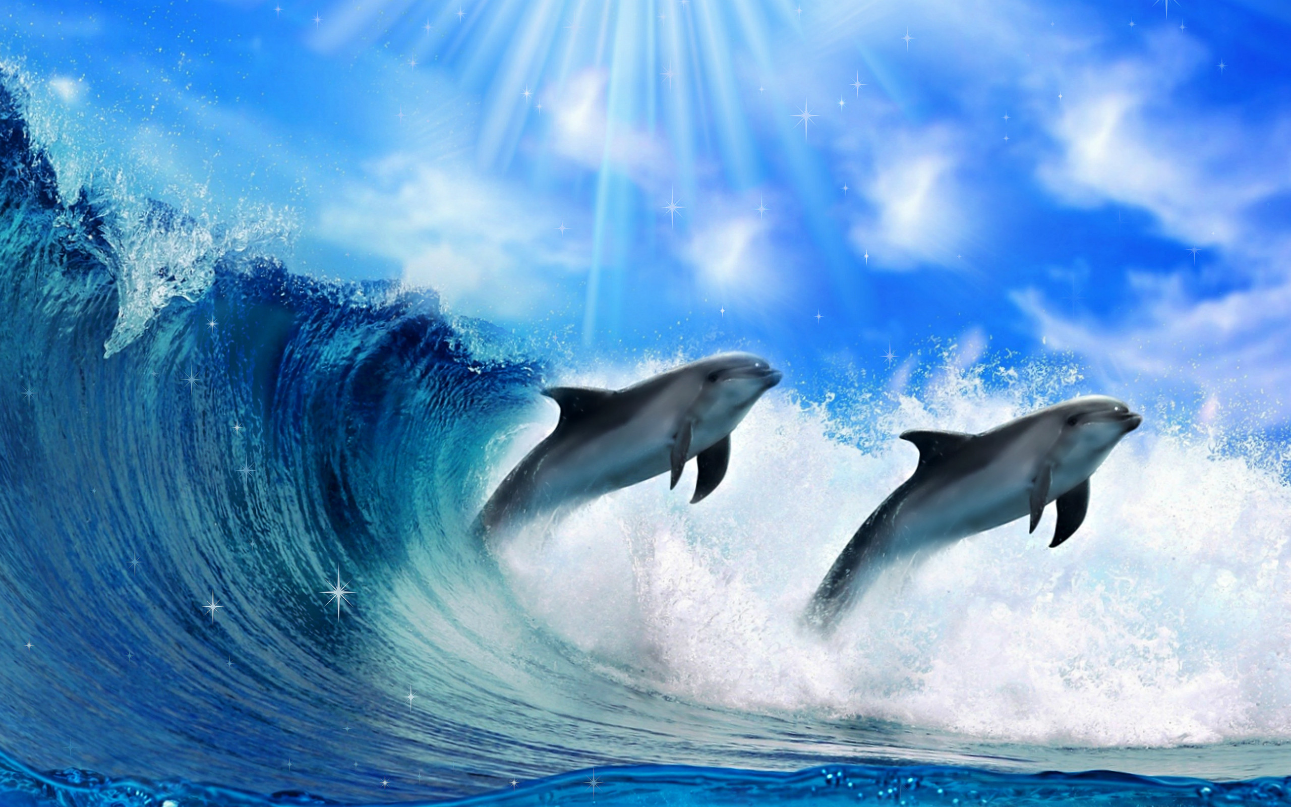 Dolphin Desktop Wallpapers