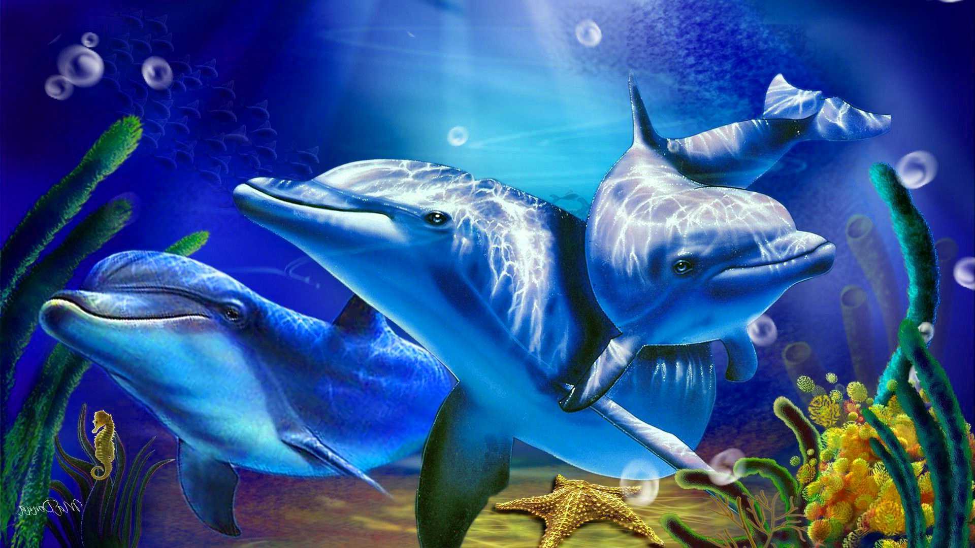 Dolphin Desktop Wallpapers