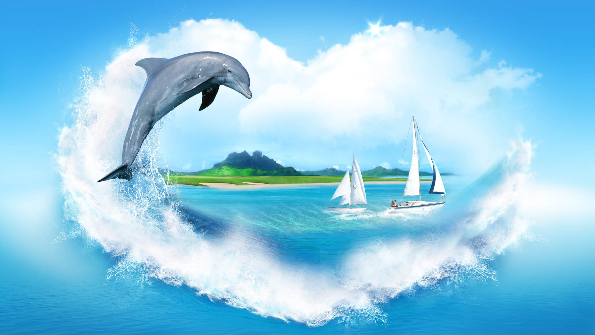 Dolphin Desktop Wallpapers