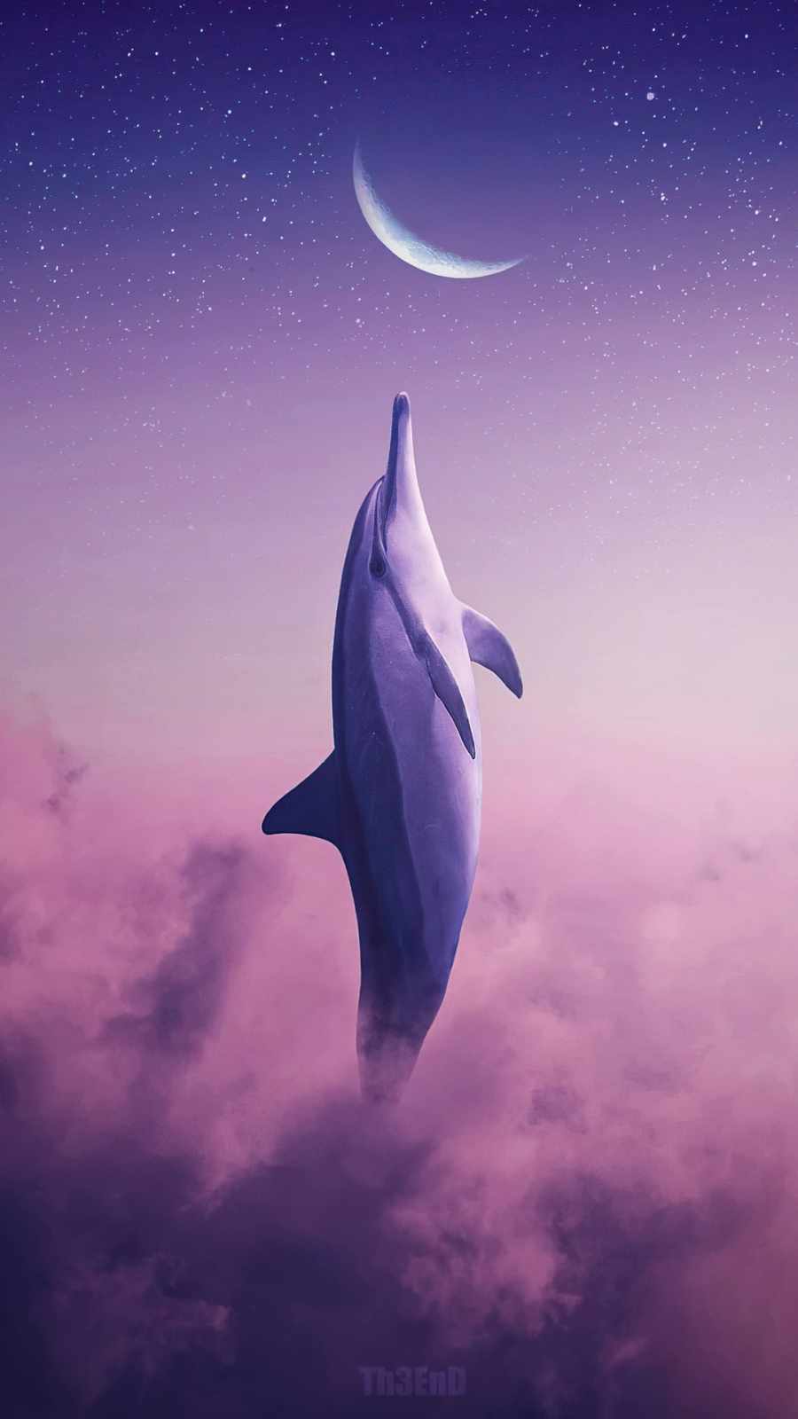 Dolphin Iphone Wallpapers