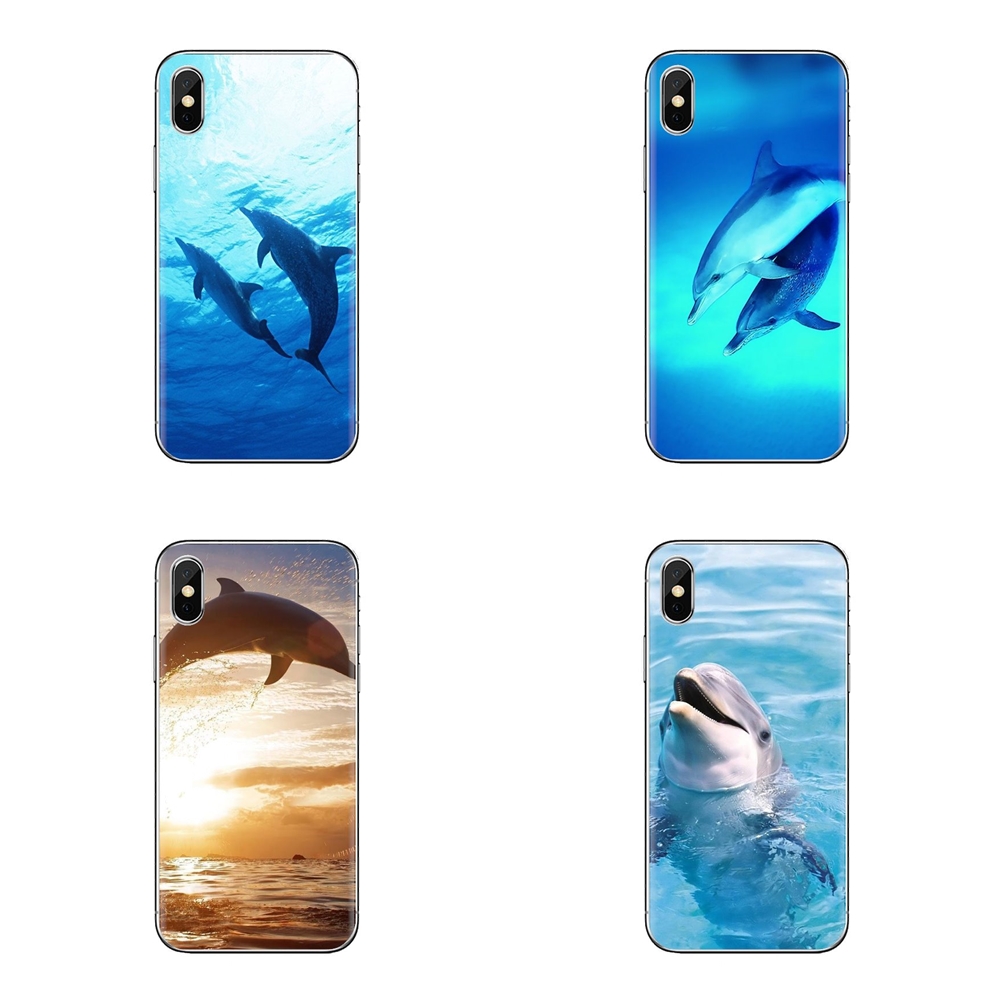 Dolphin Iphone Wallpapers