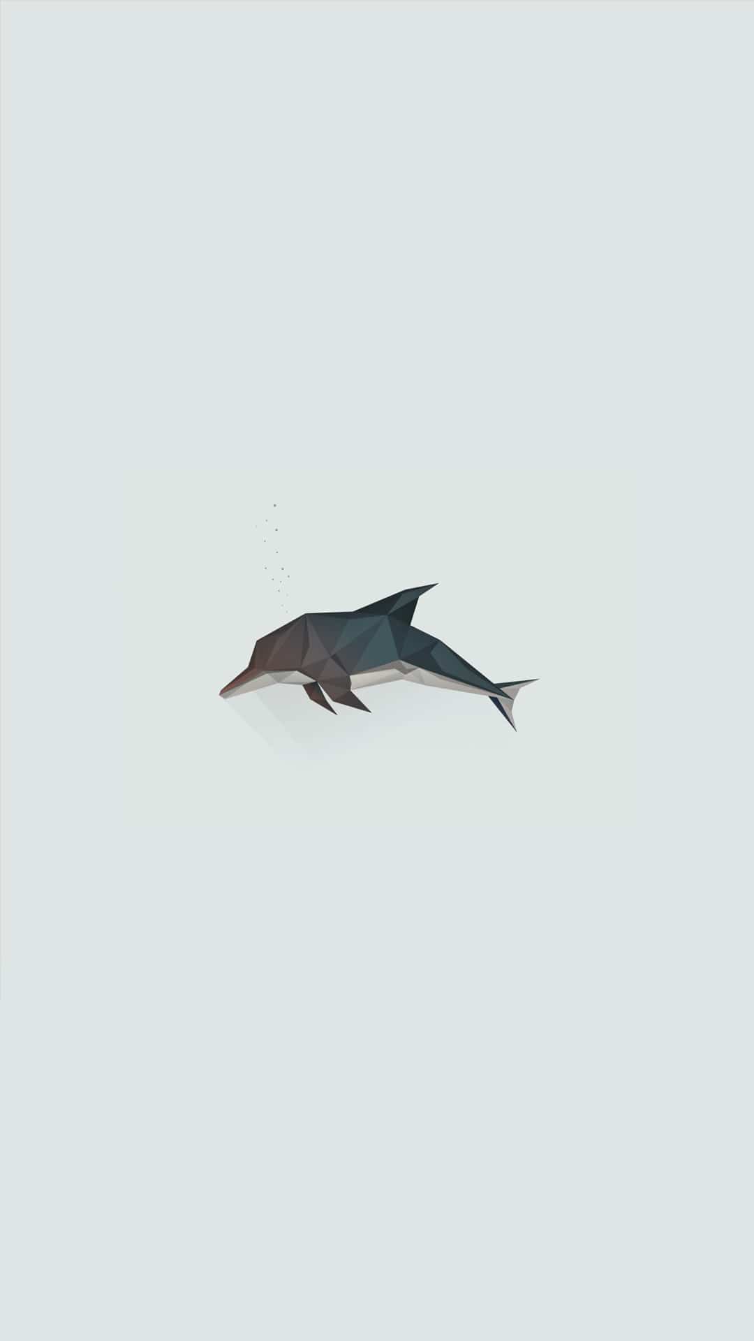 Dolphin Iphone Wallpapers