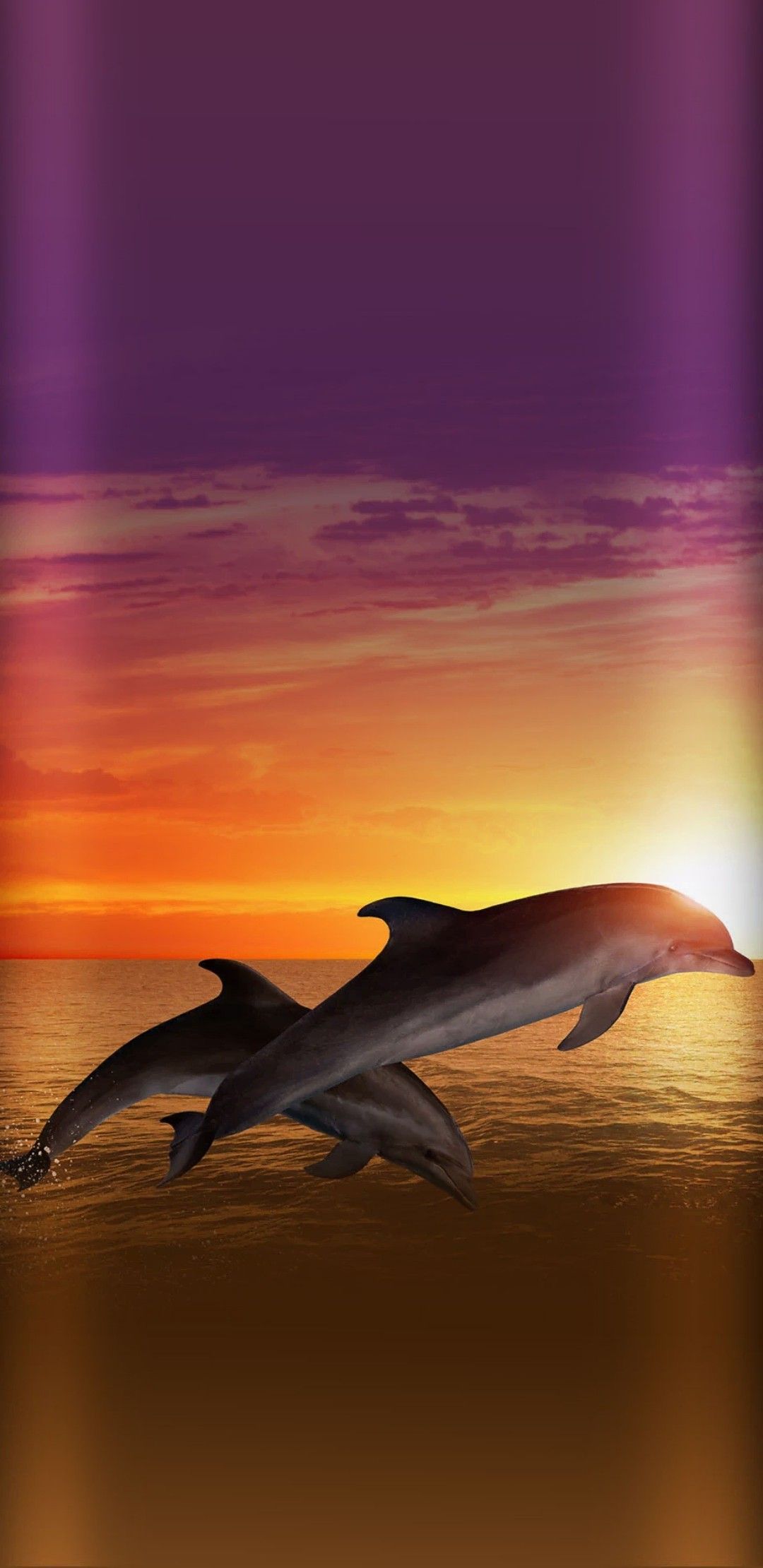 Dolphin For Iphone Wallpapers