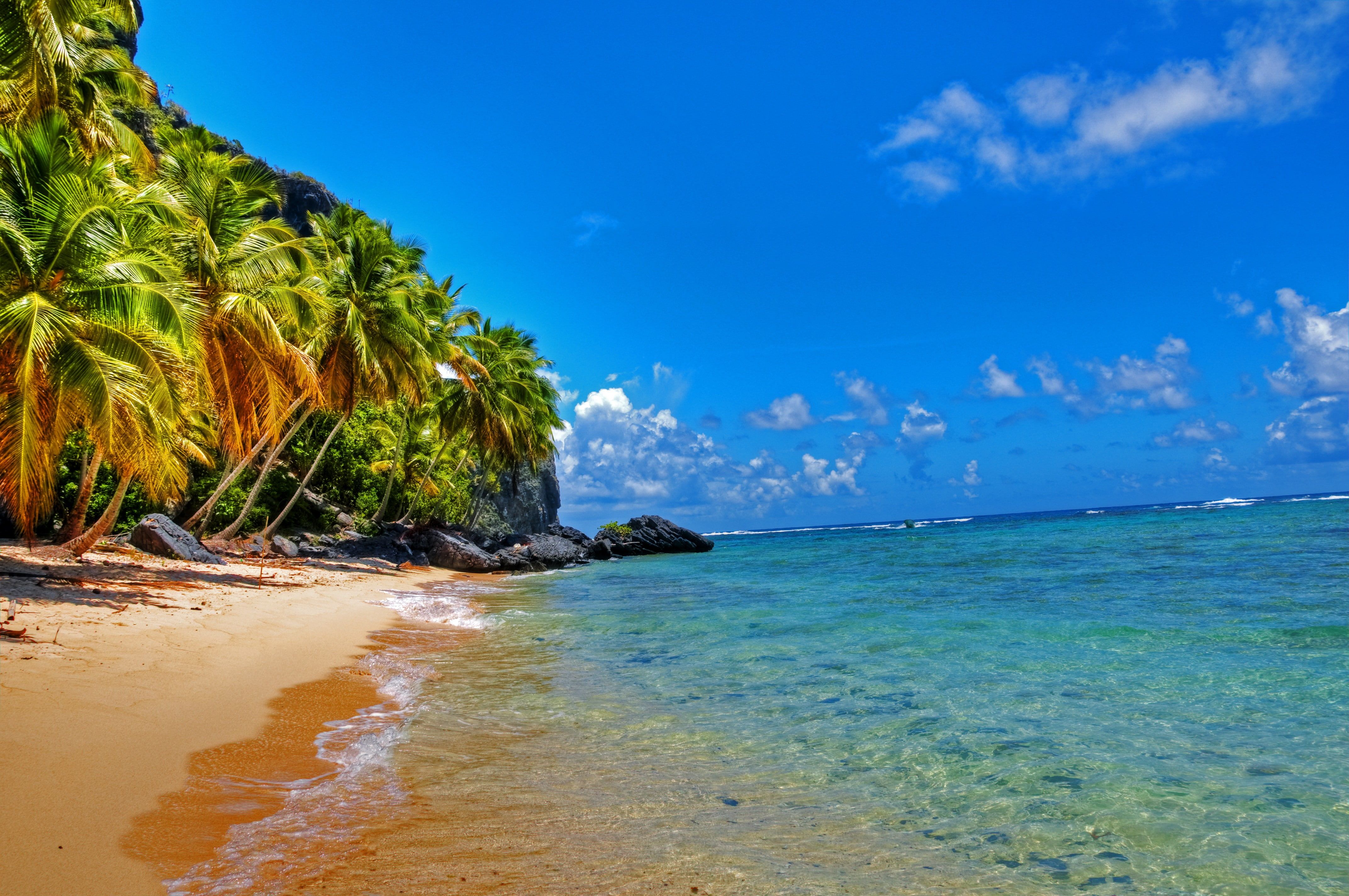 Dominican Republic Beaches Wallpapers