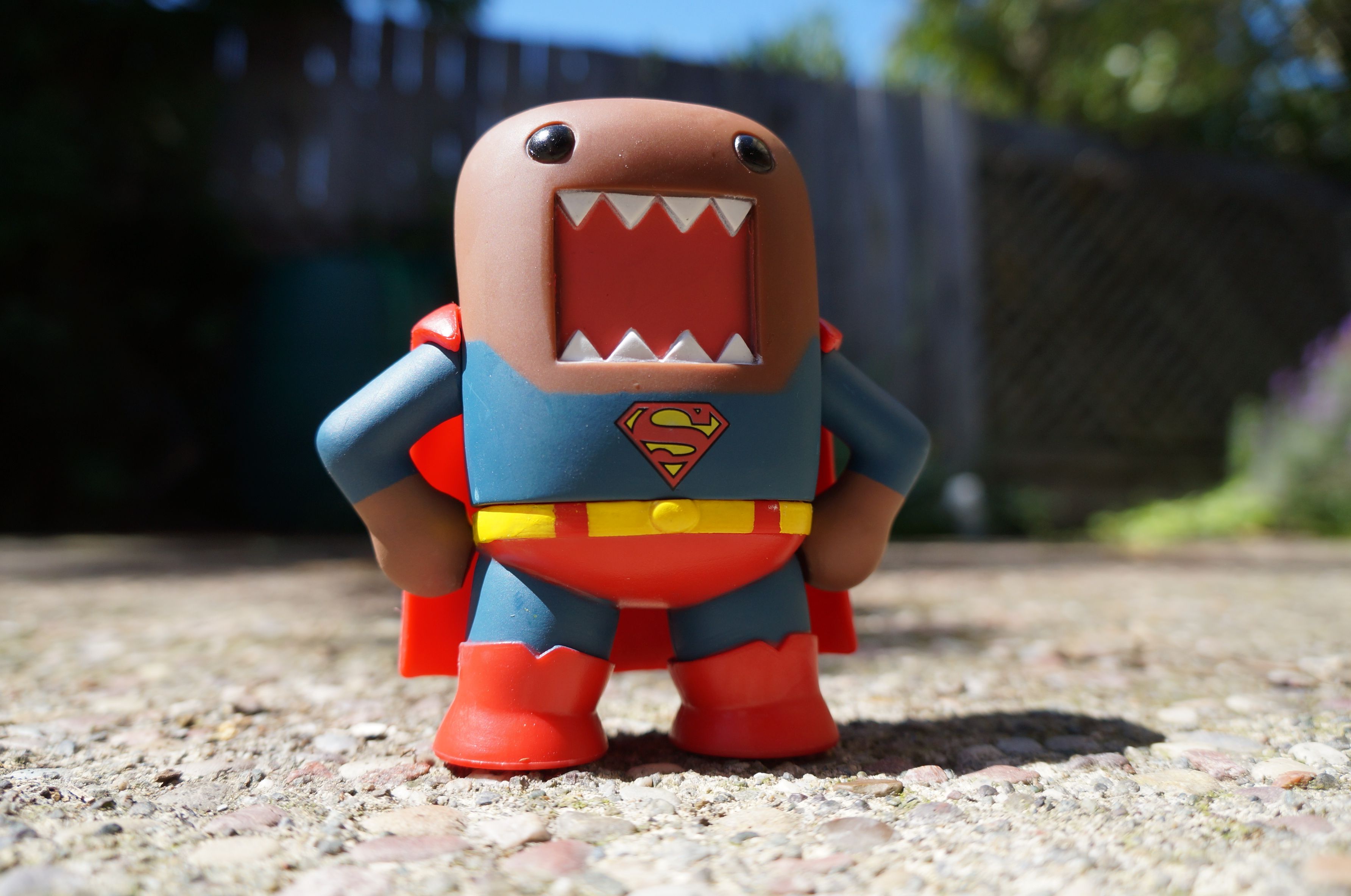 Domo Wallpapers