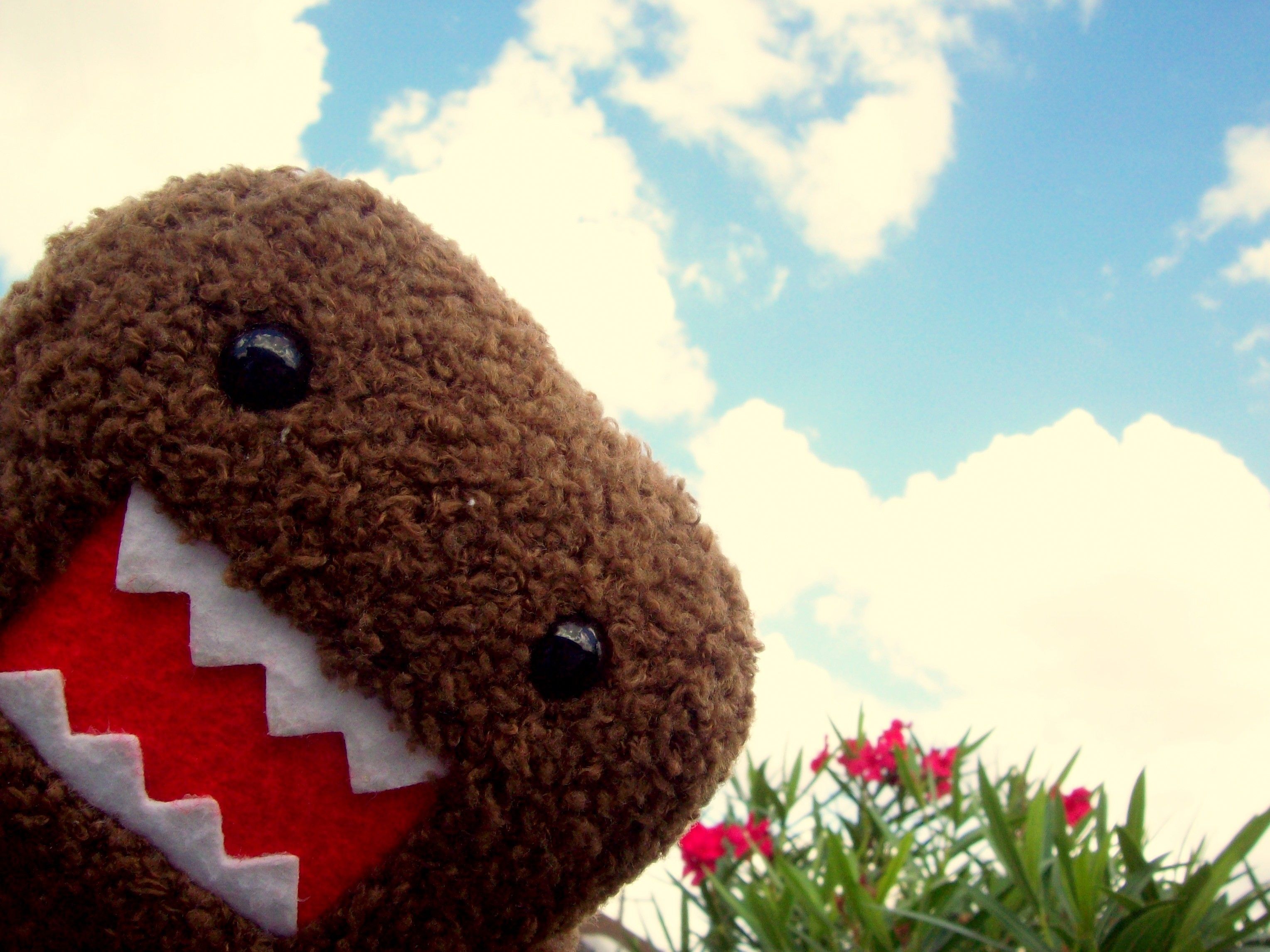 Domo Wallpapers