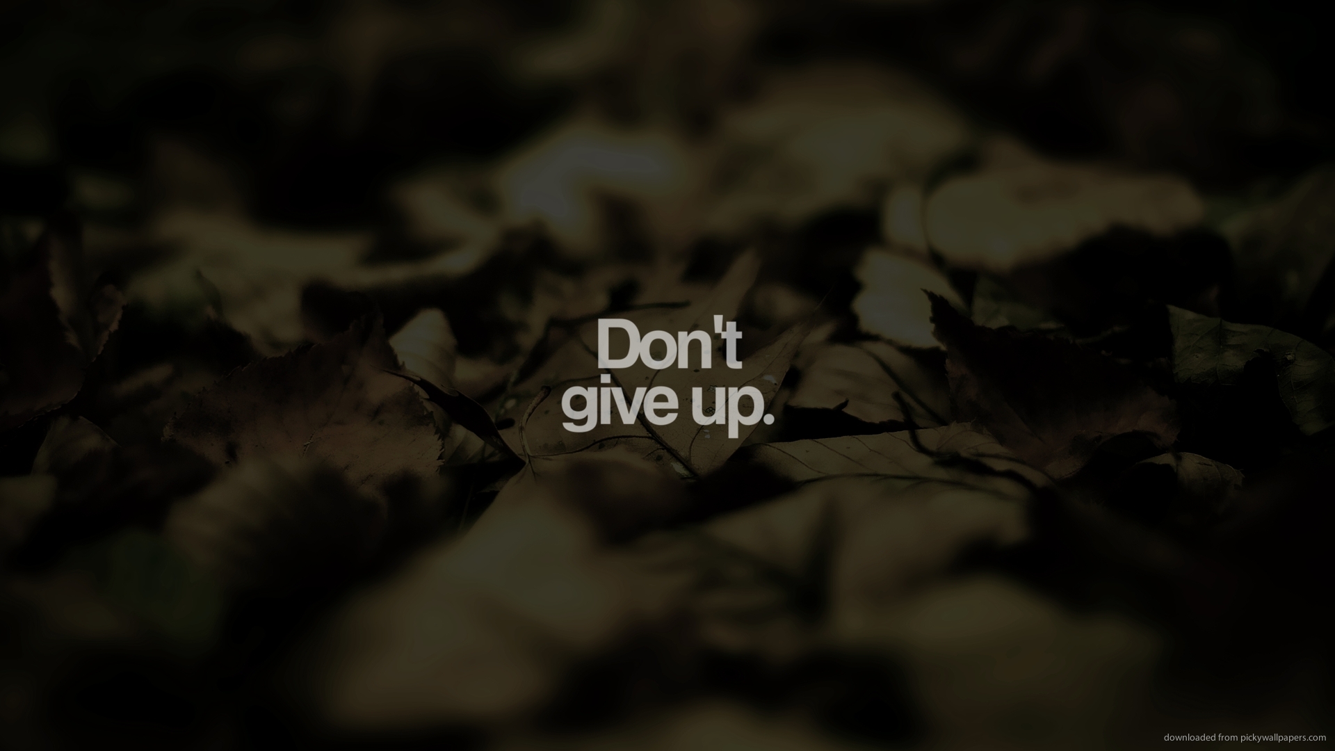 Dont Give Up Wallpapers