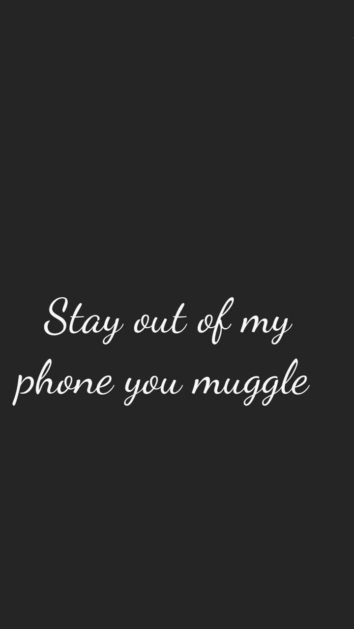 Don'T Touch My Laptop Muggle Wallpapers