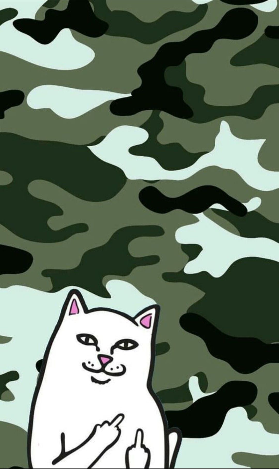 Dope Cat Wallpapers