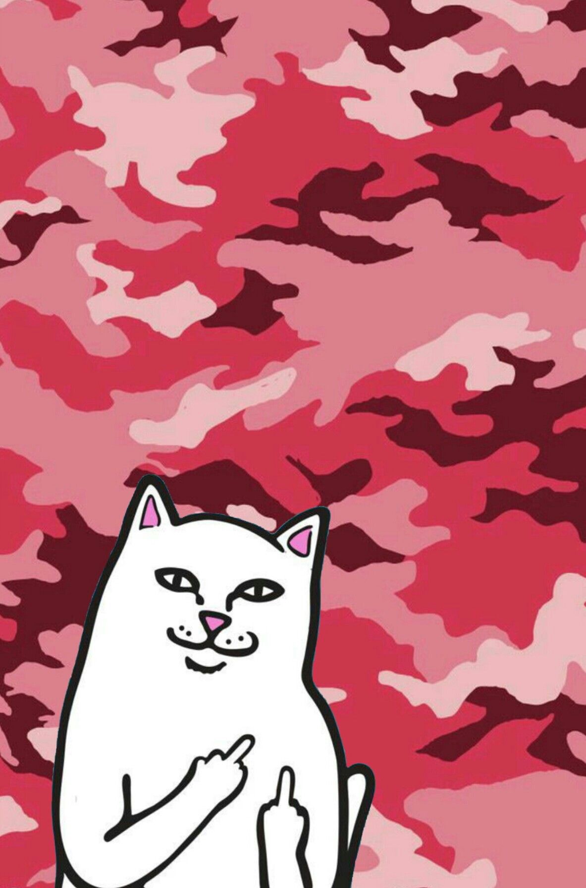 Dope Cat Wallpapers