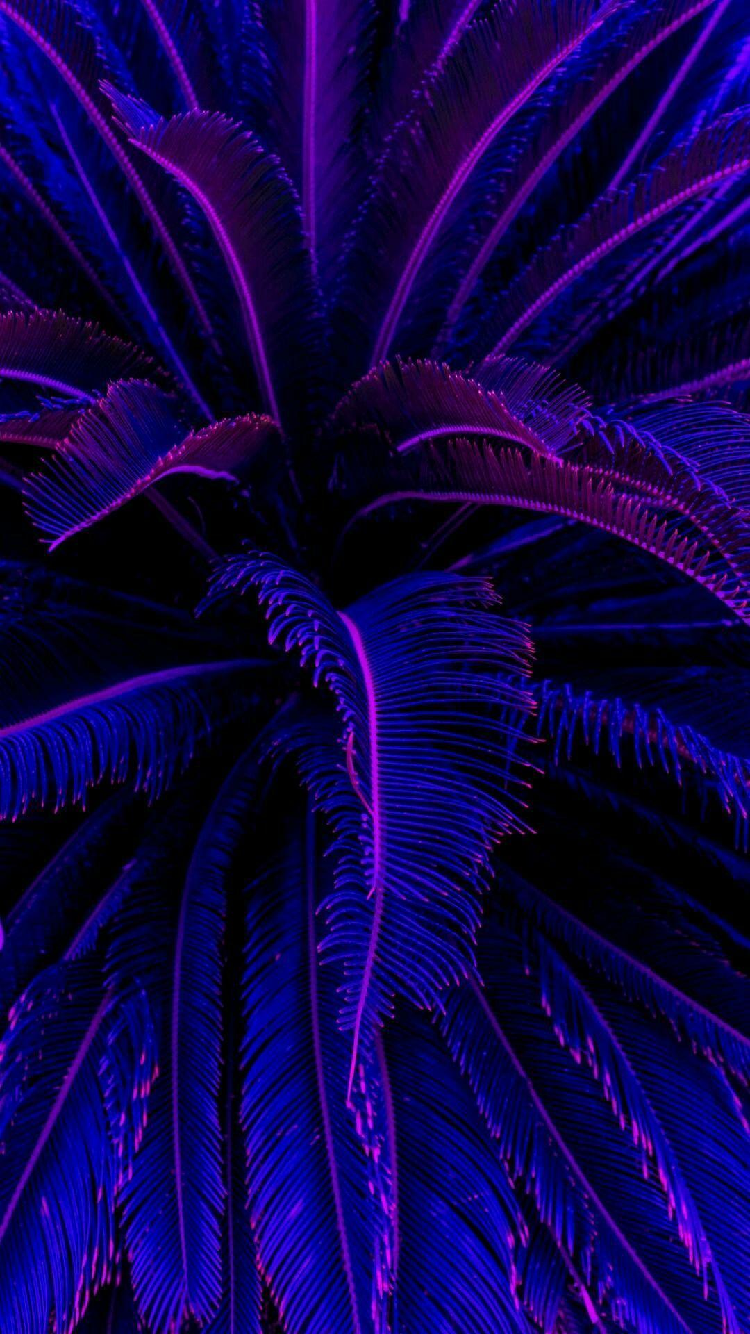 Dope Purple Wallpapers