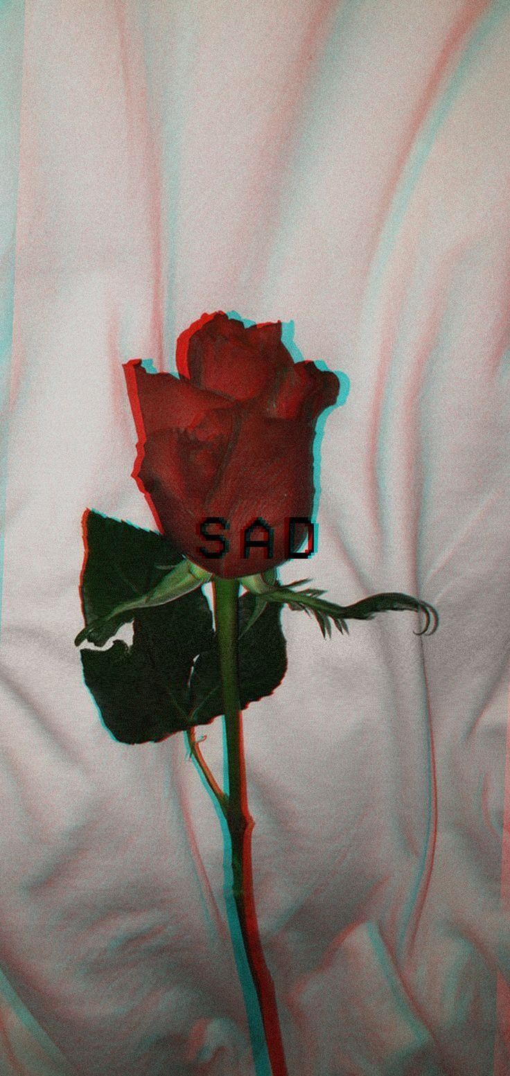 Dope Rose Wallpapers