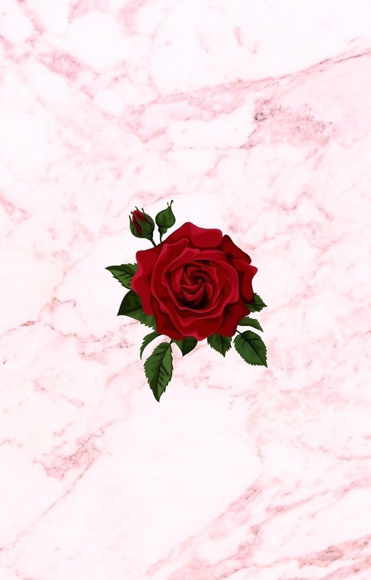 Dope Rose Wallpapers