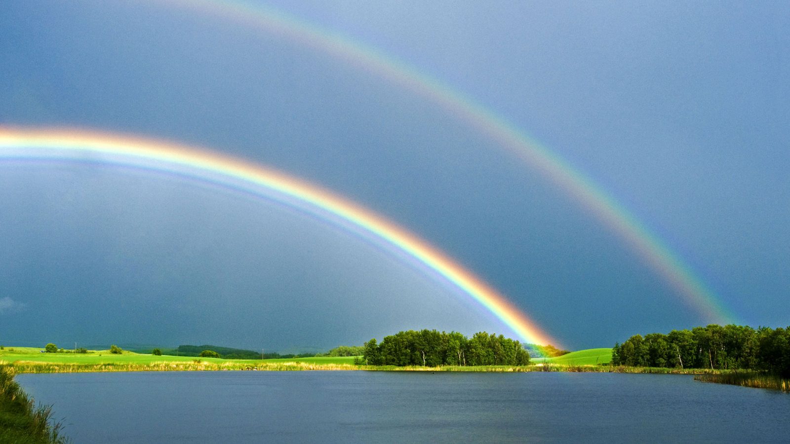 Double Rainbow Wallpapers