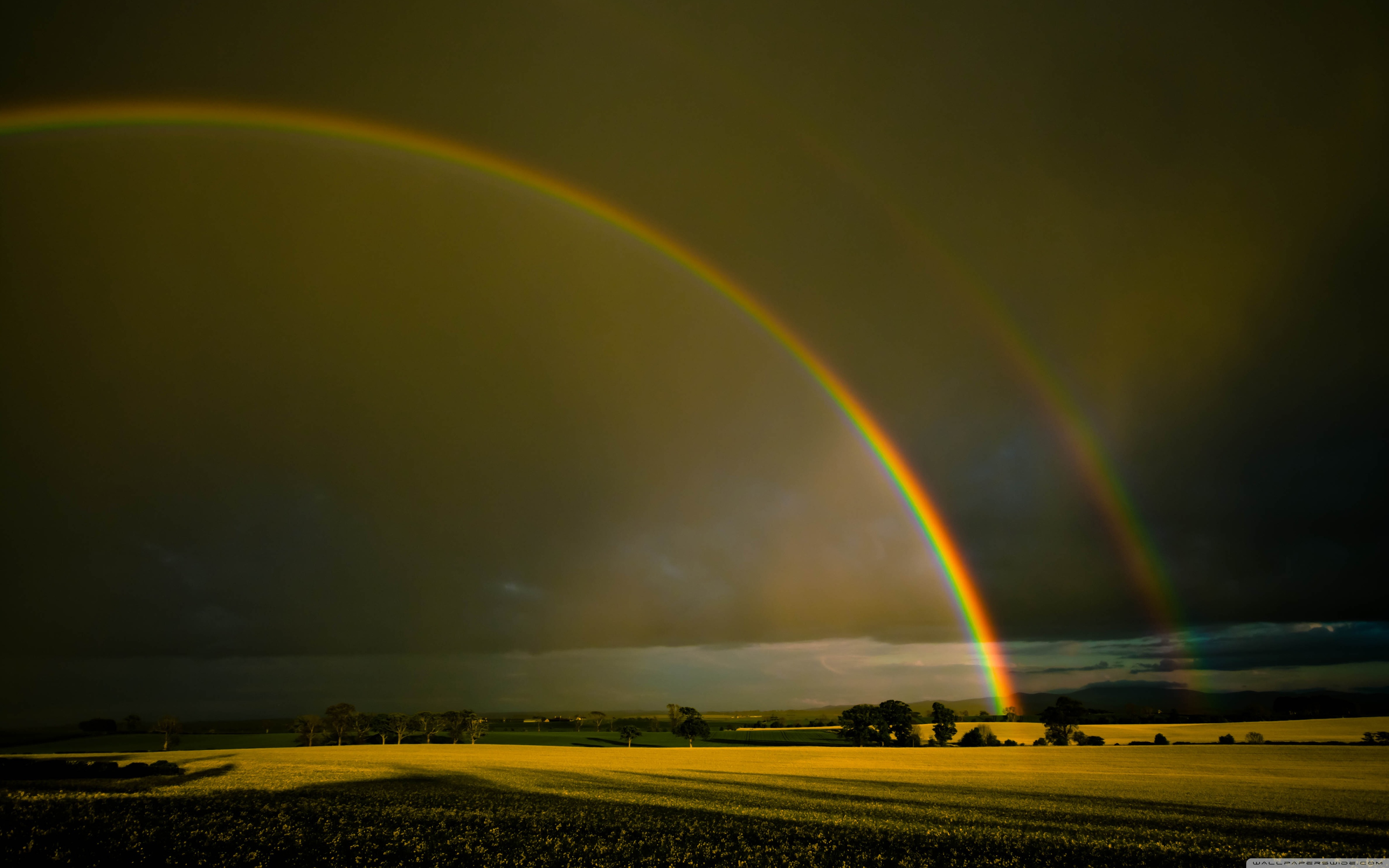 Double Rainbow Wallpapers