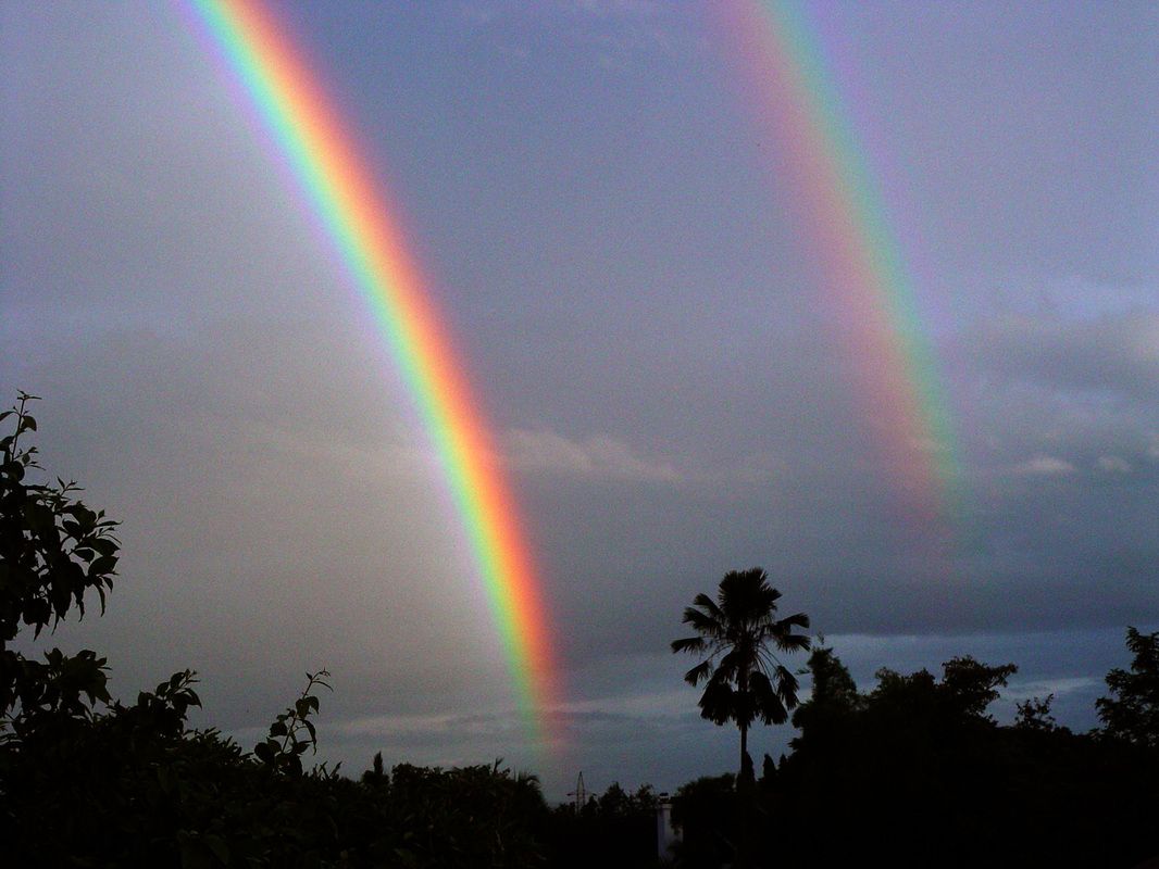 Double Rainbow Wallpapers