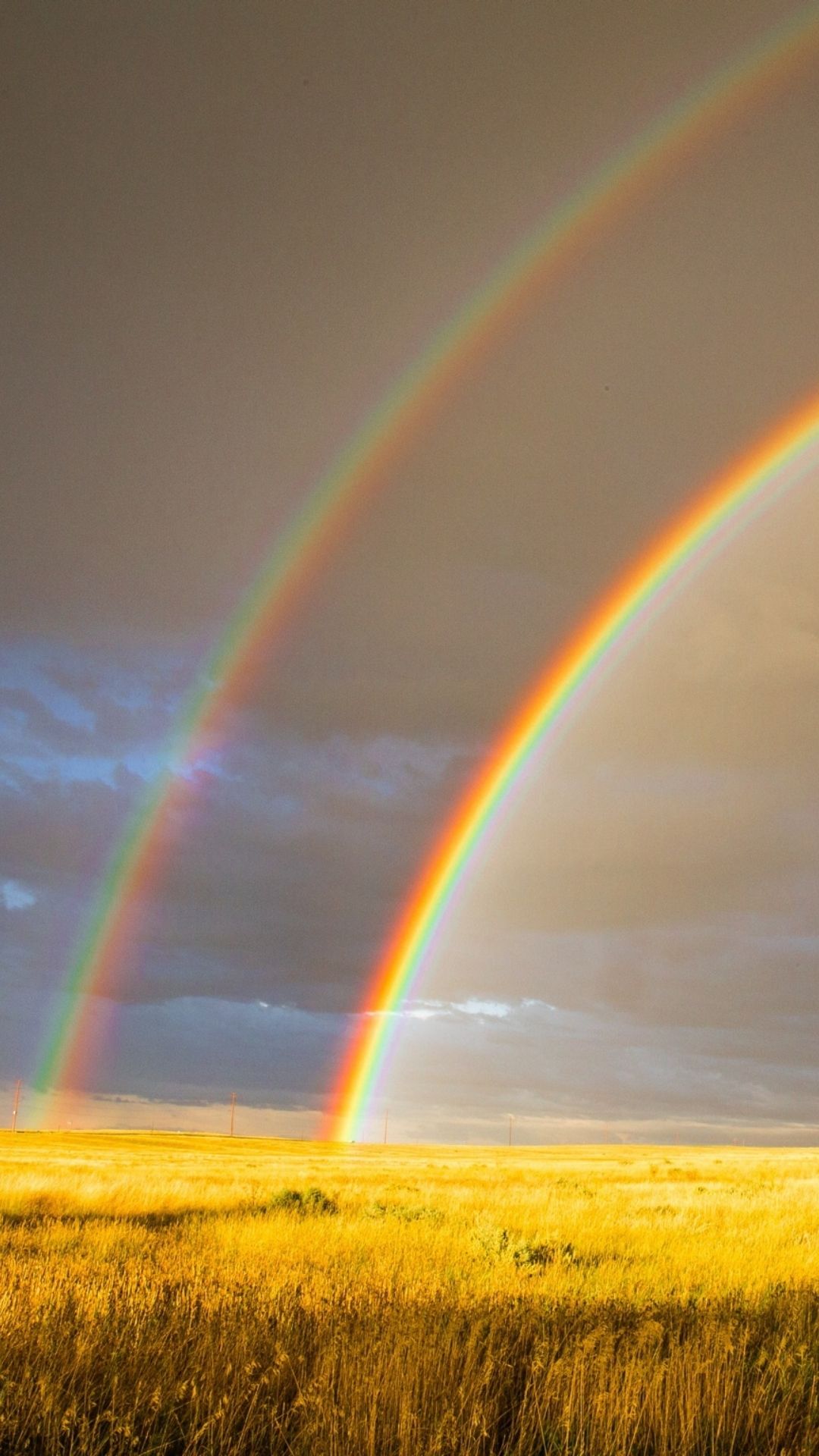 Double Rainbow Wallpapers