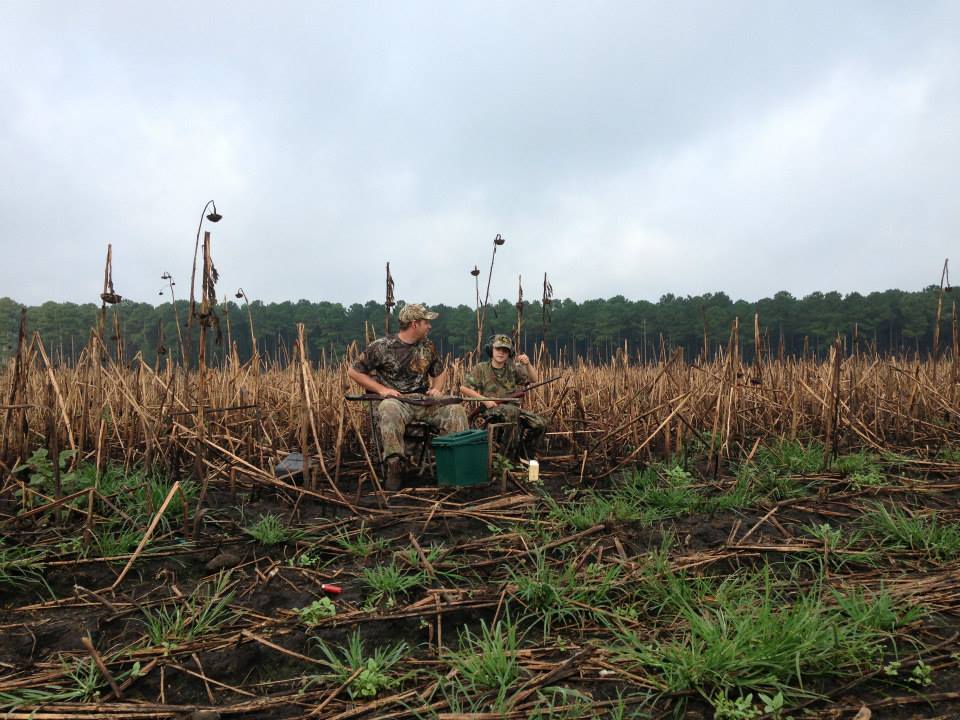 Dove Hunting Wallpapers